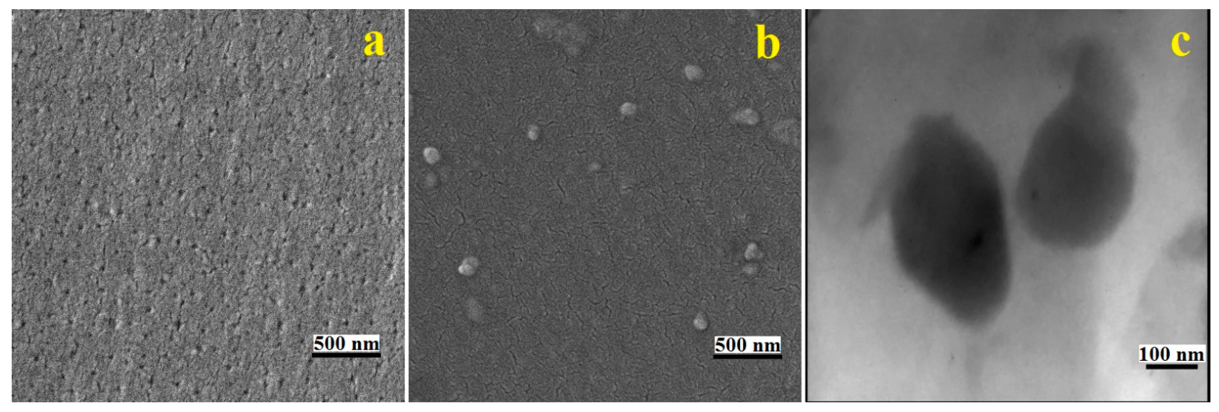 Molecules 27 02870 g003