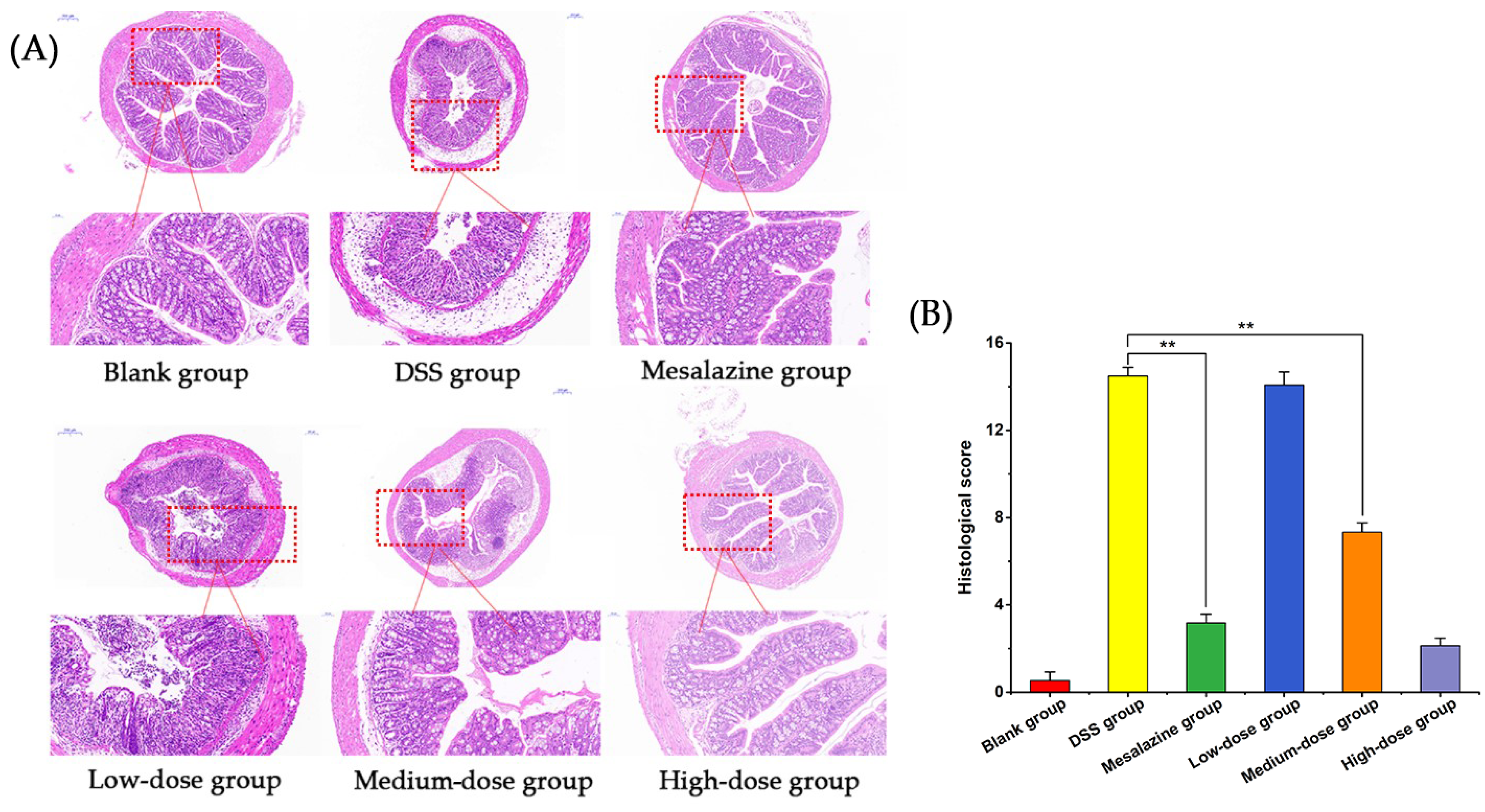 Molecules 27 02872 g006 550