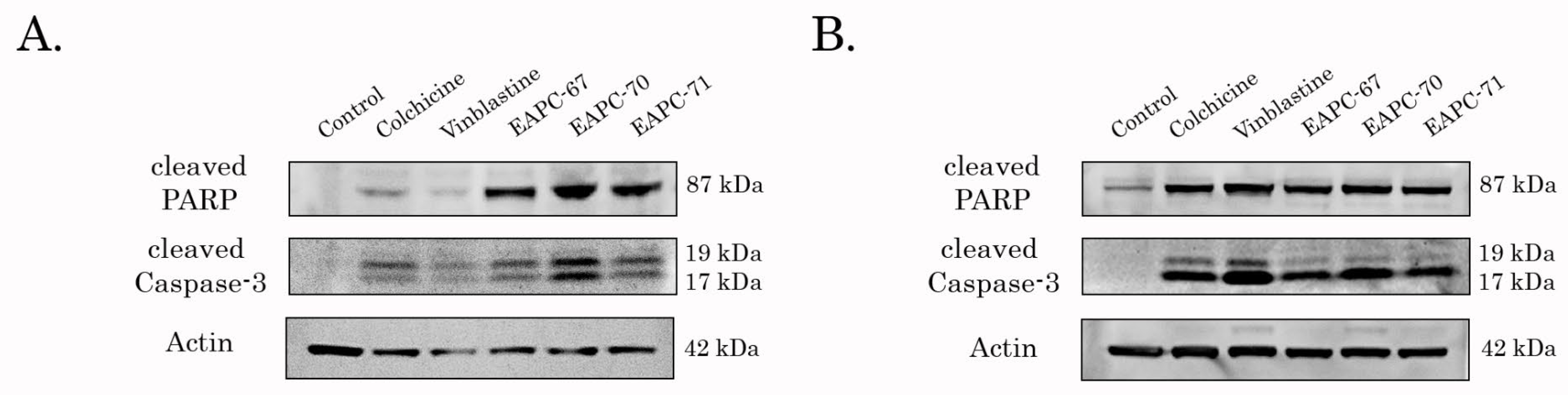 Molecules 27 02873 g004
