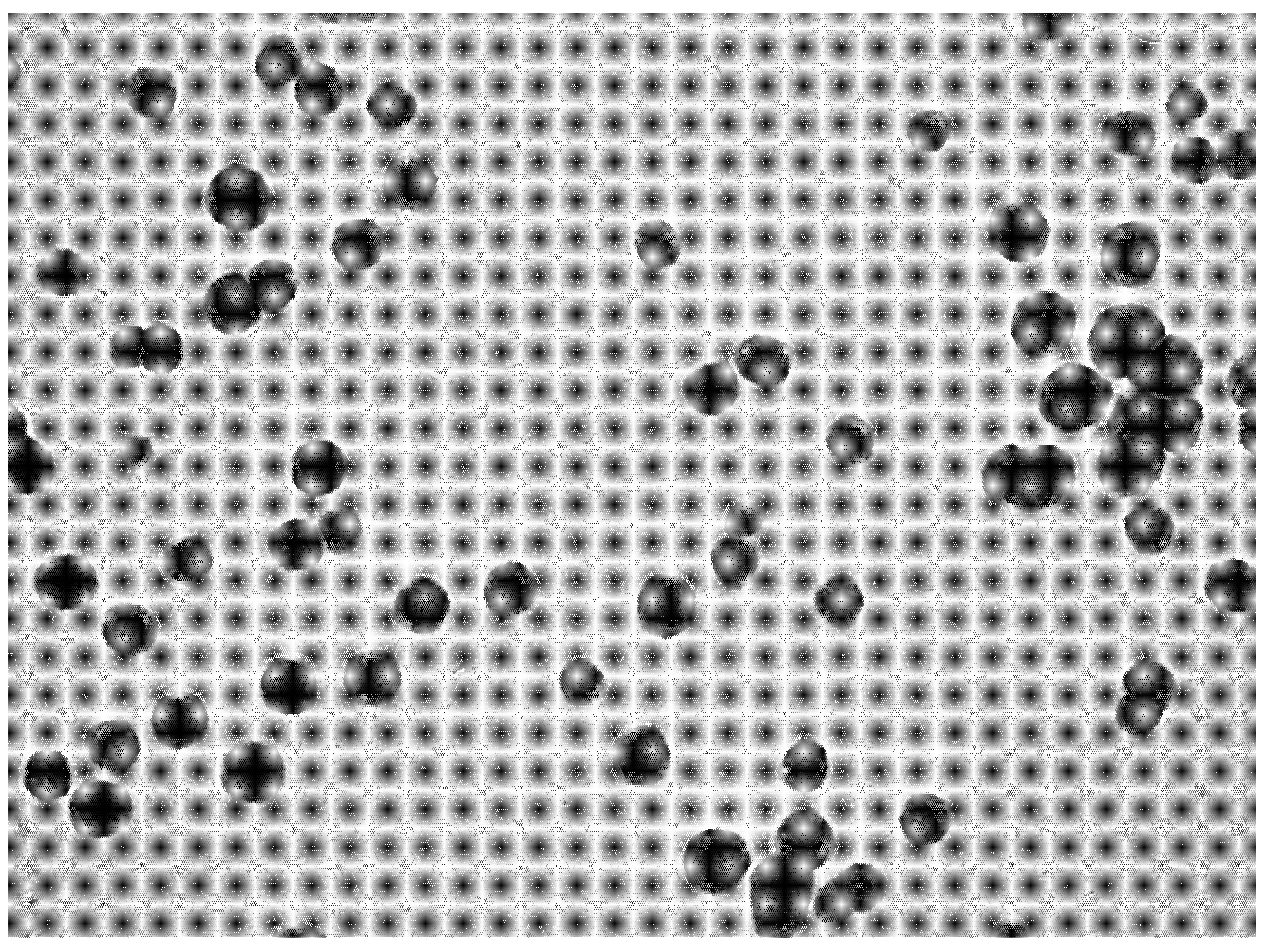 Molecules 27 02876 g001 550