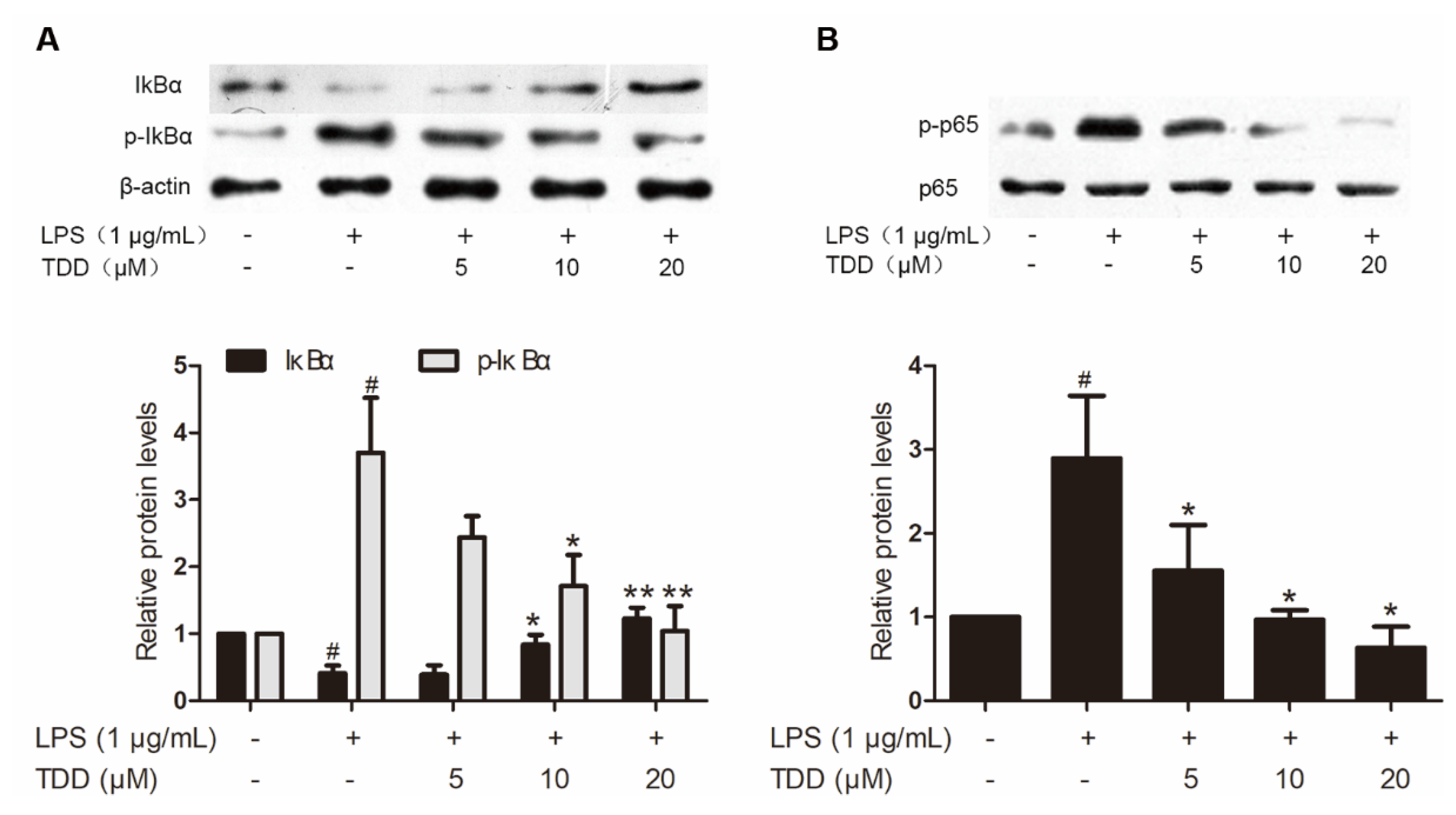 Molecules 27 02884 g004 550