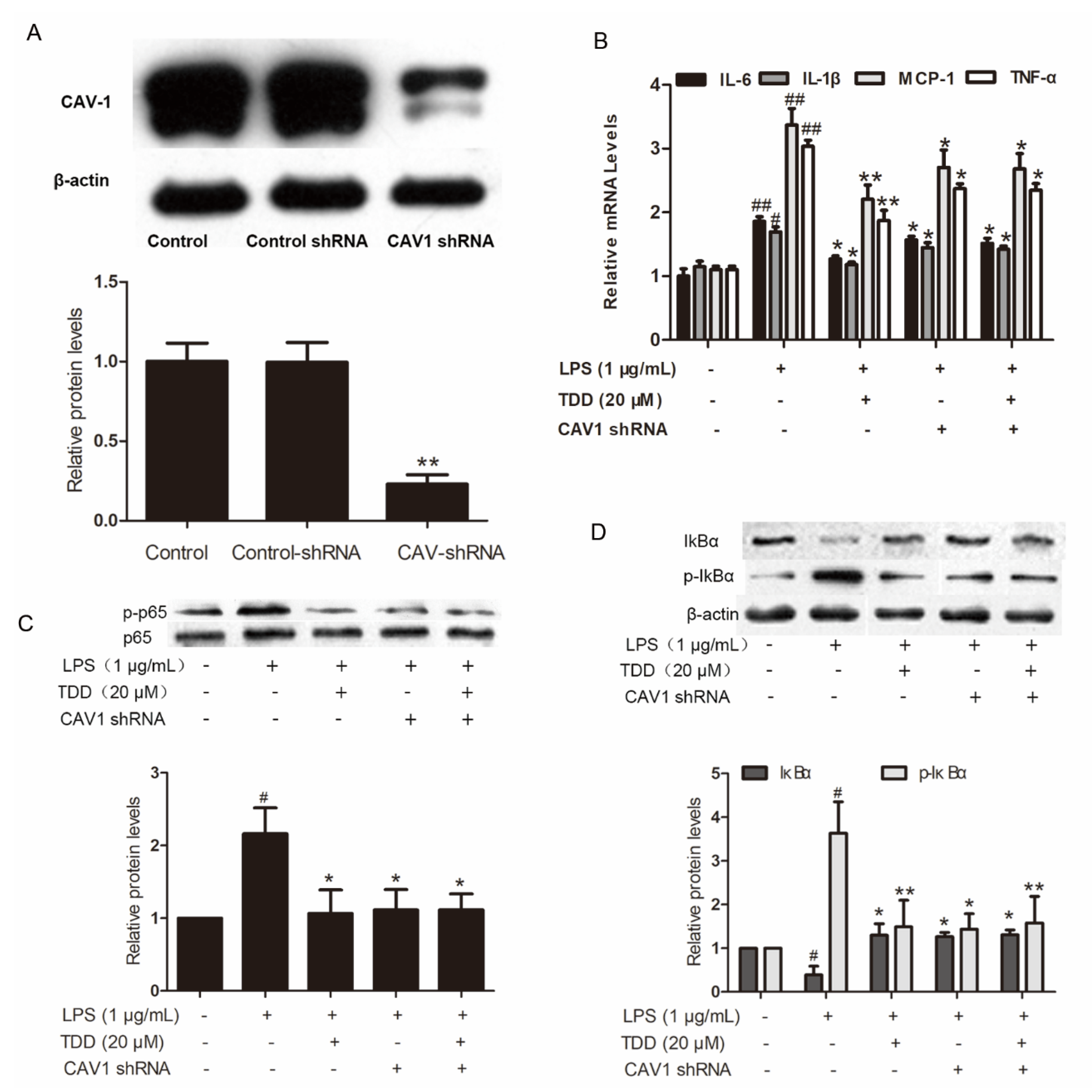 Molecules 27 02884 g006 550