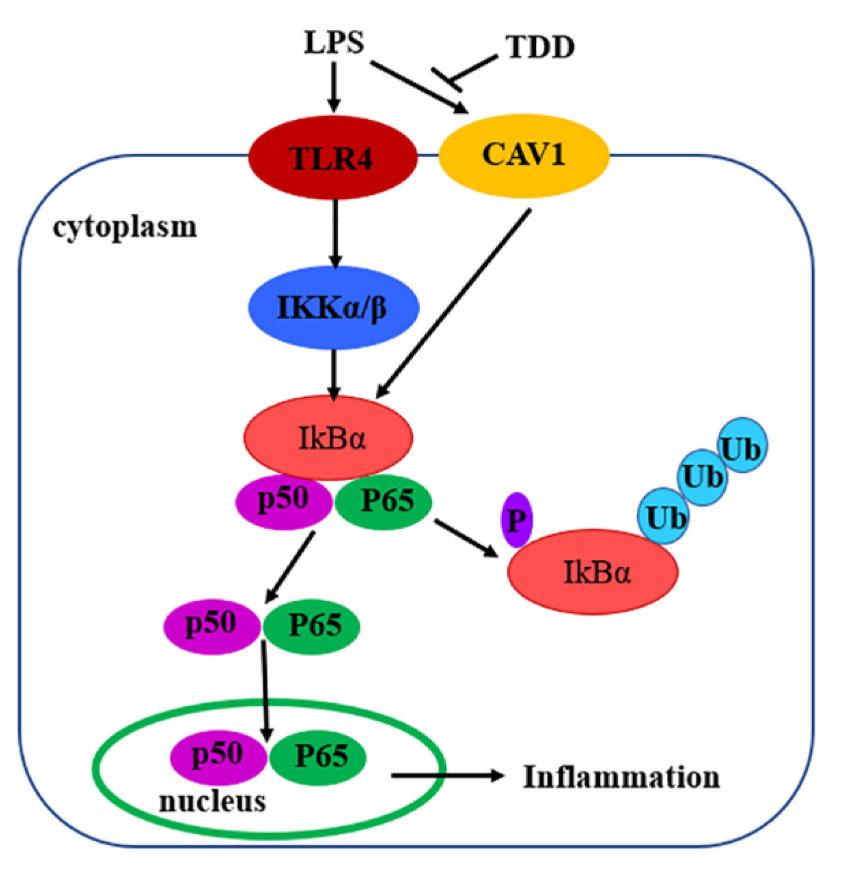 Molecules 27 02884 g010 550