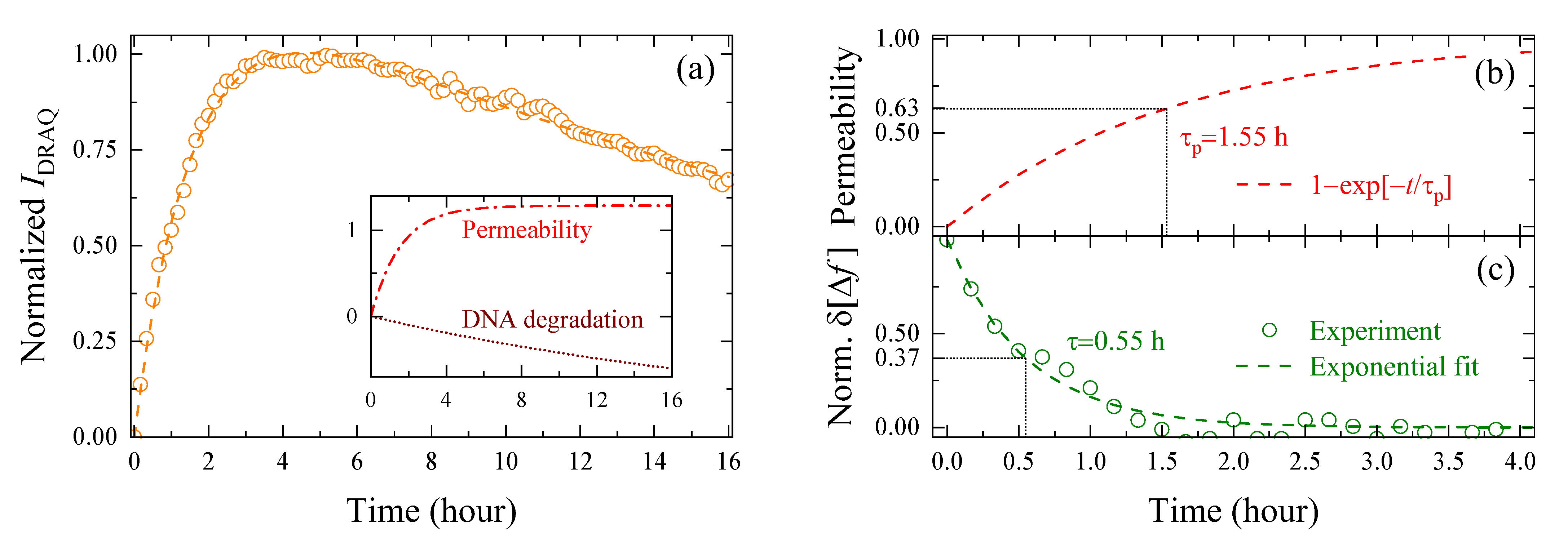 Molecules 27 02886 g005