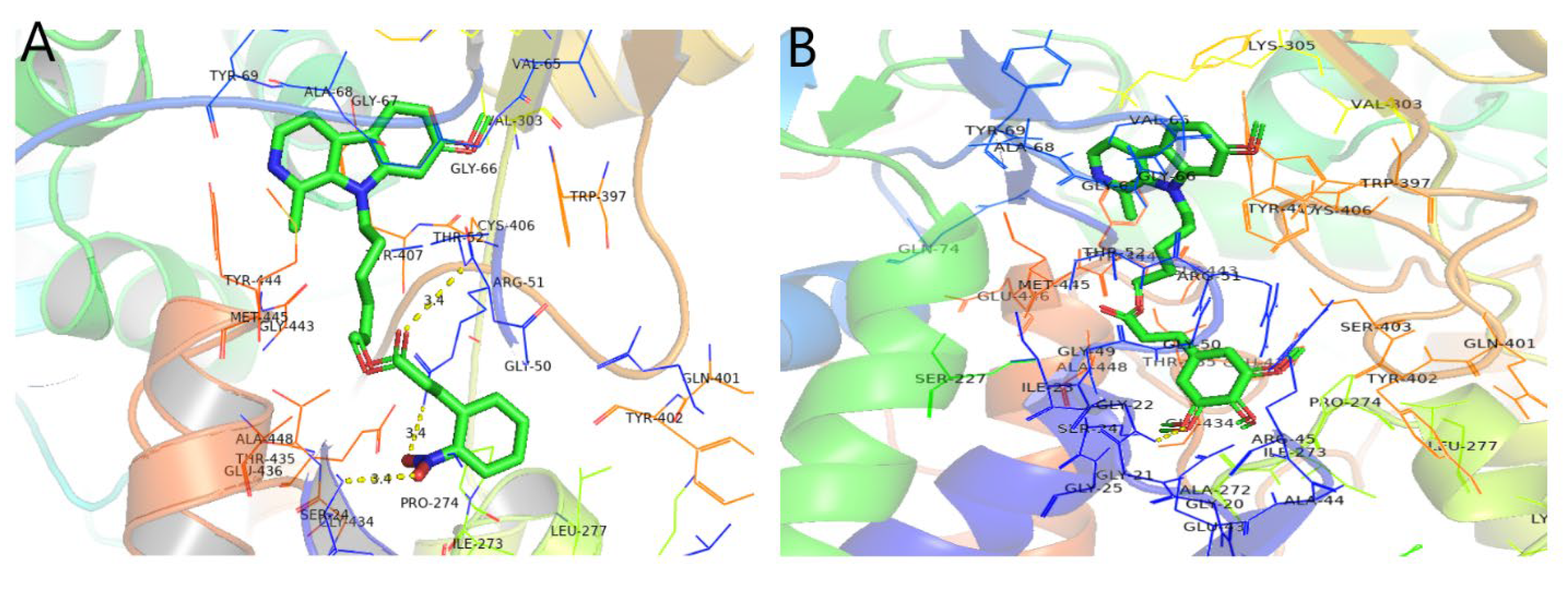 Molecules 27 02888 g005 550