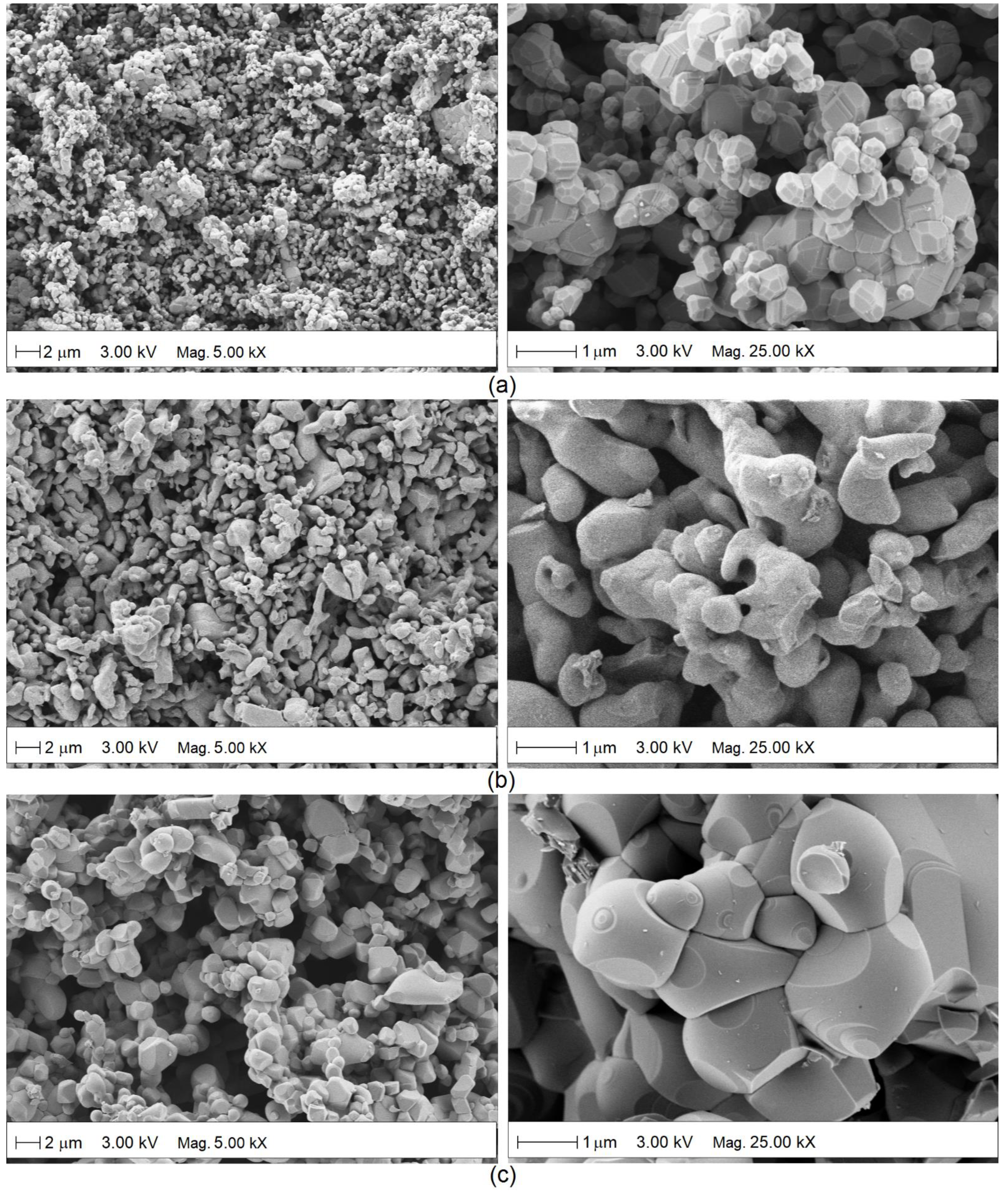 Molecules 27 02889 g008 Molecules 27 02889 g008