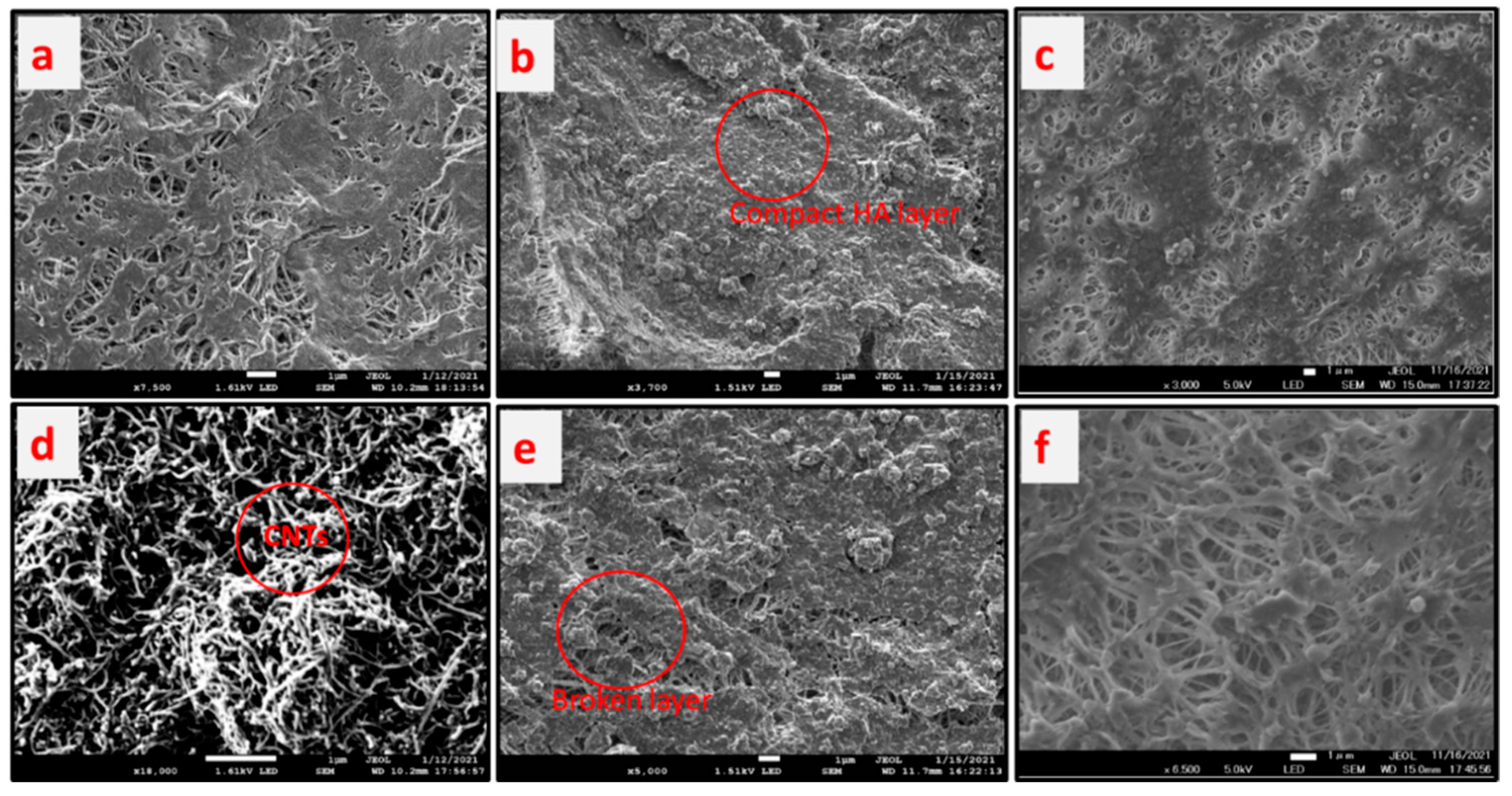Molecules 27 02896 g009 550