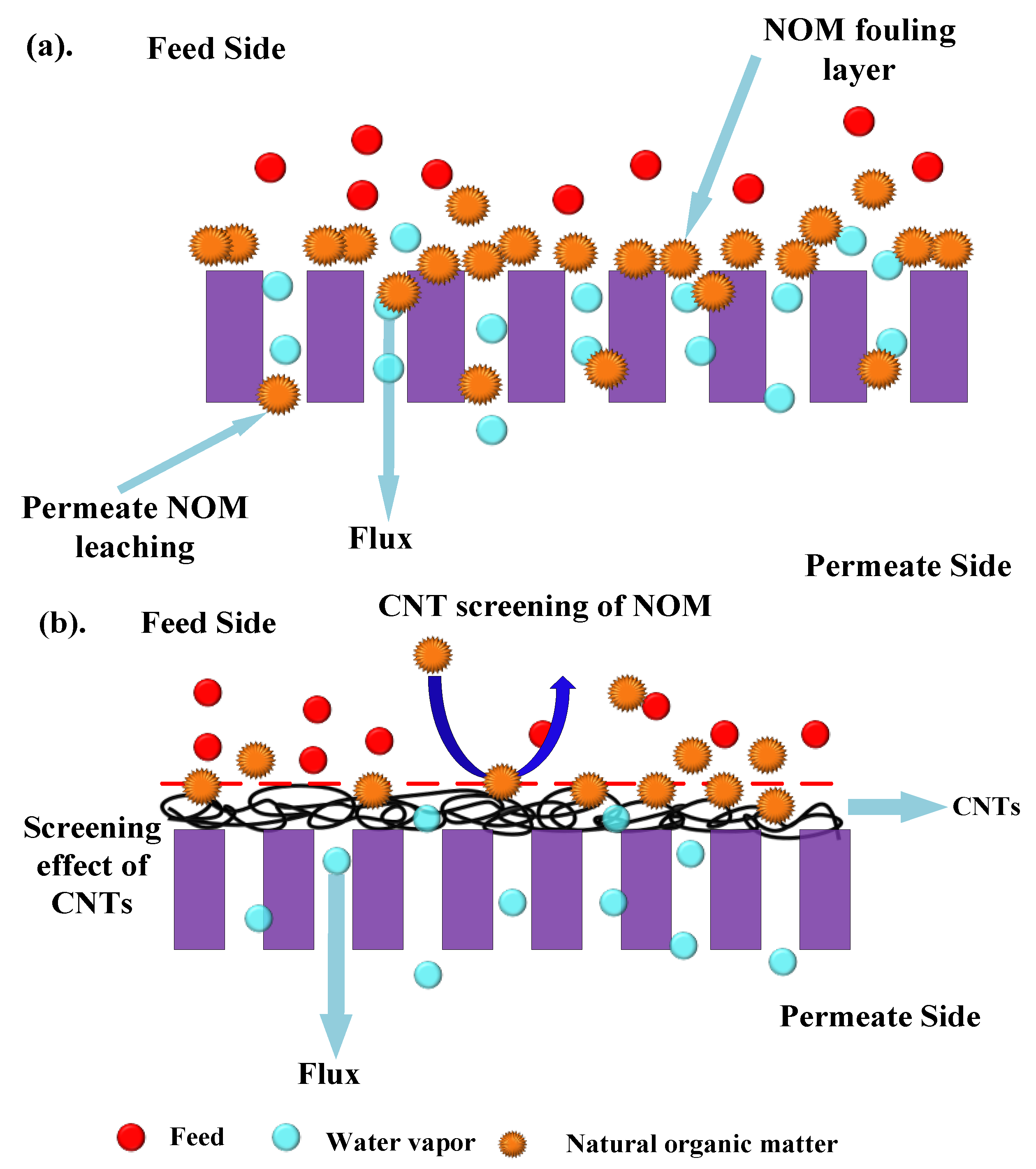 Molecules 27 02896 g011 550