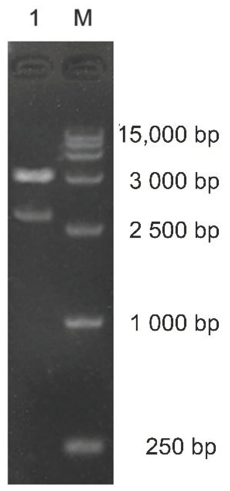 Molecules 27 02897 g002 550