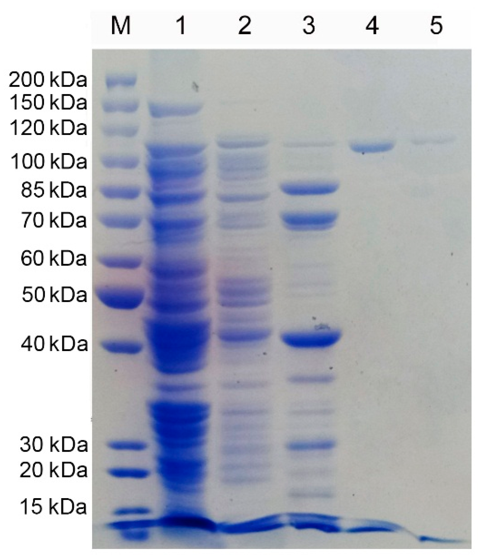 Molecules 27 02897 g003 550
