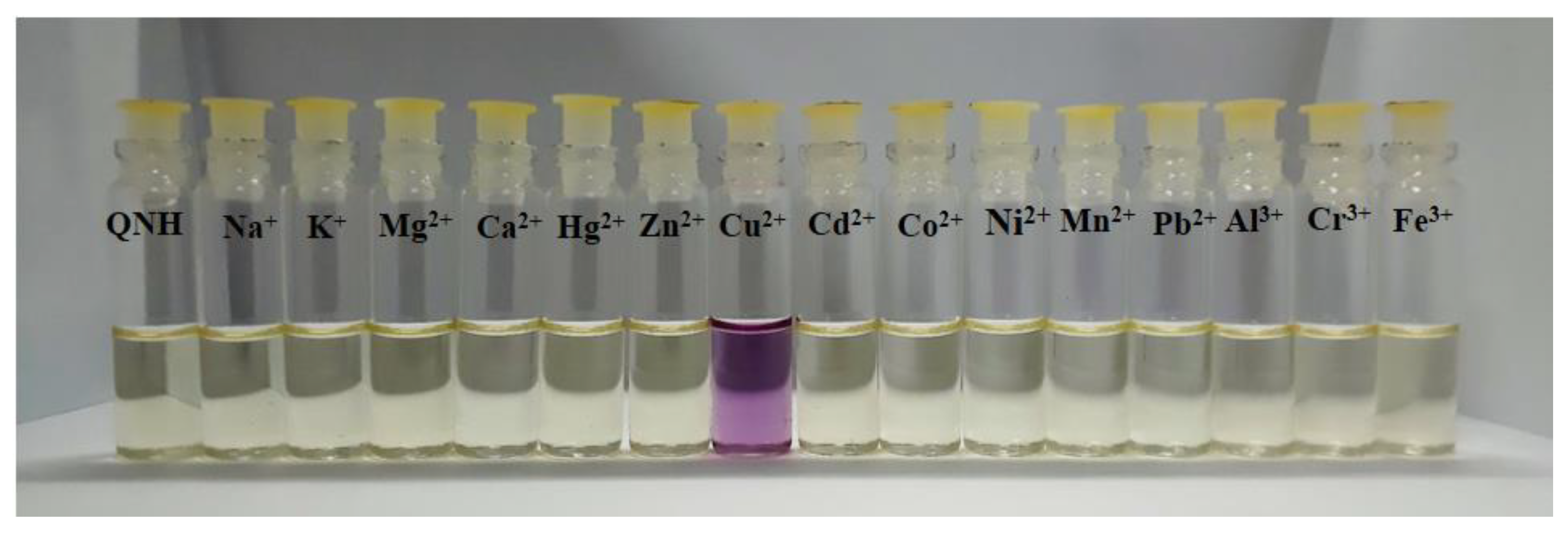 Molecules 27 02908 g001