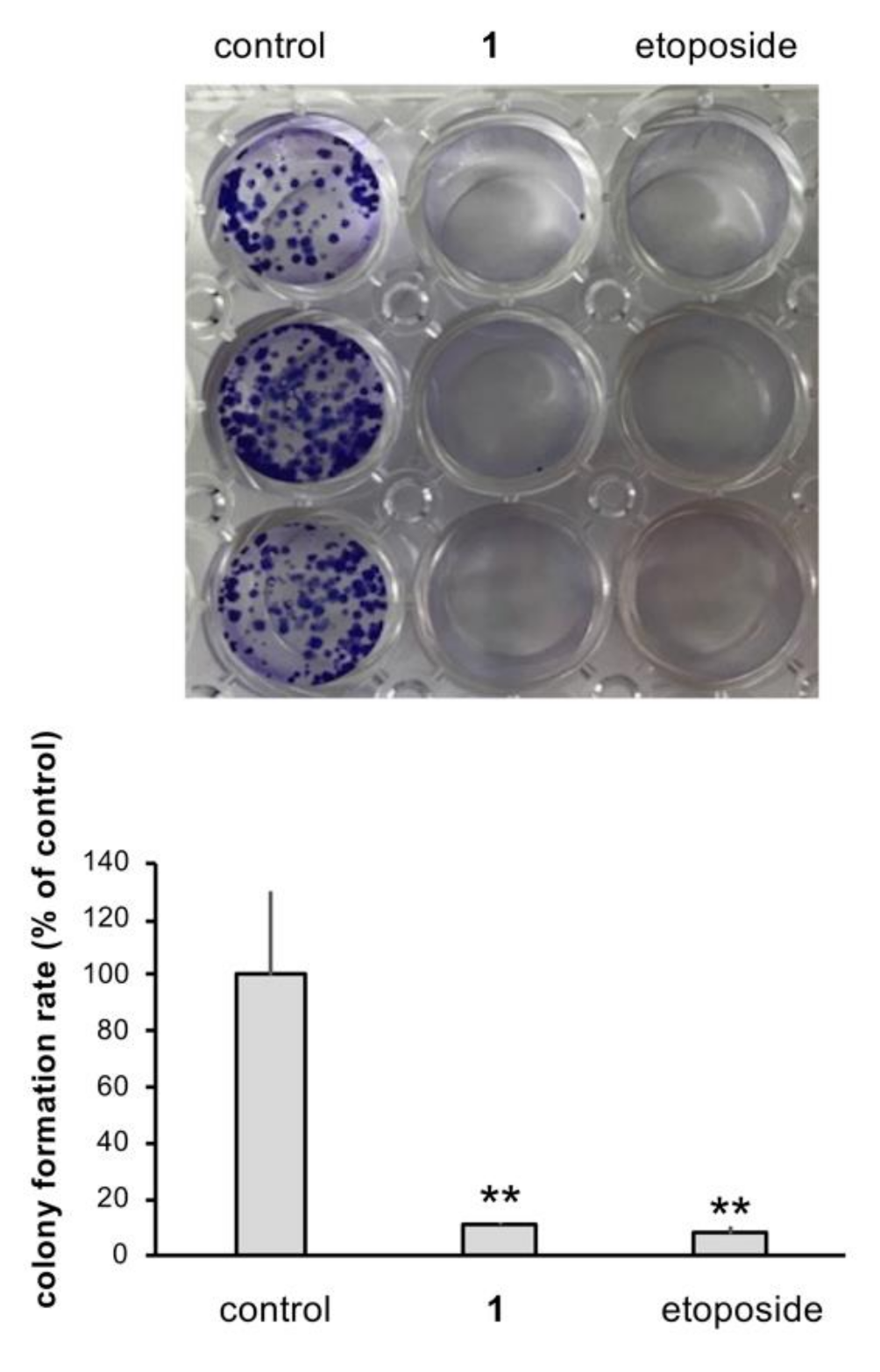 Molecules 27 02909 g006 550