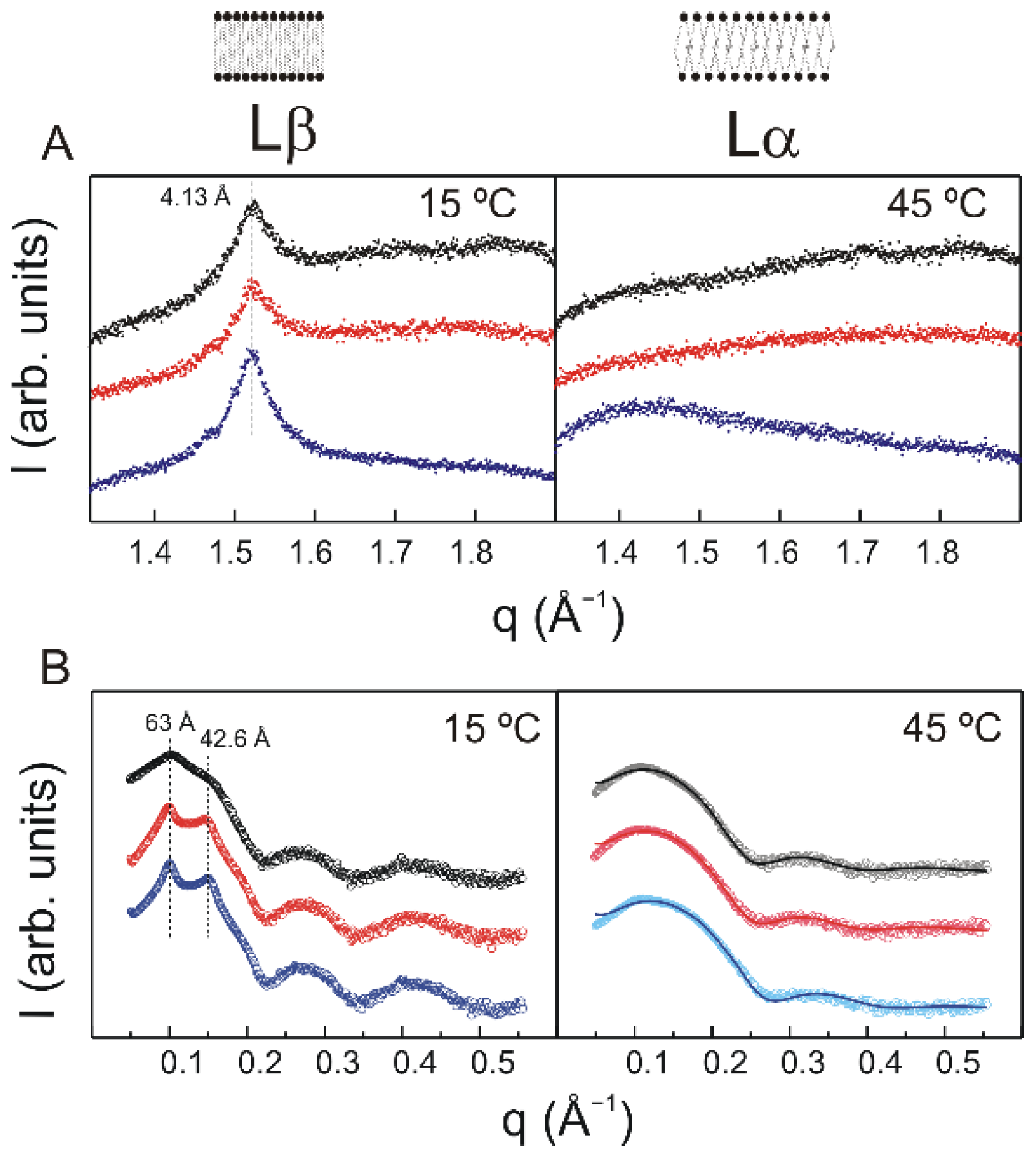 Molecules 27 02910 g003 550
