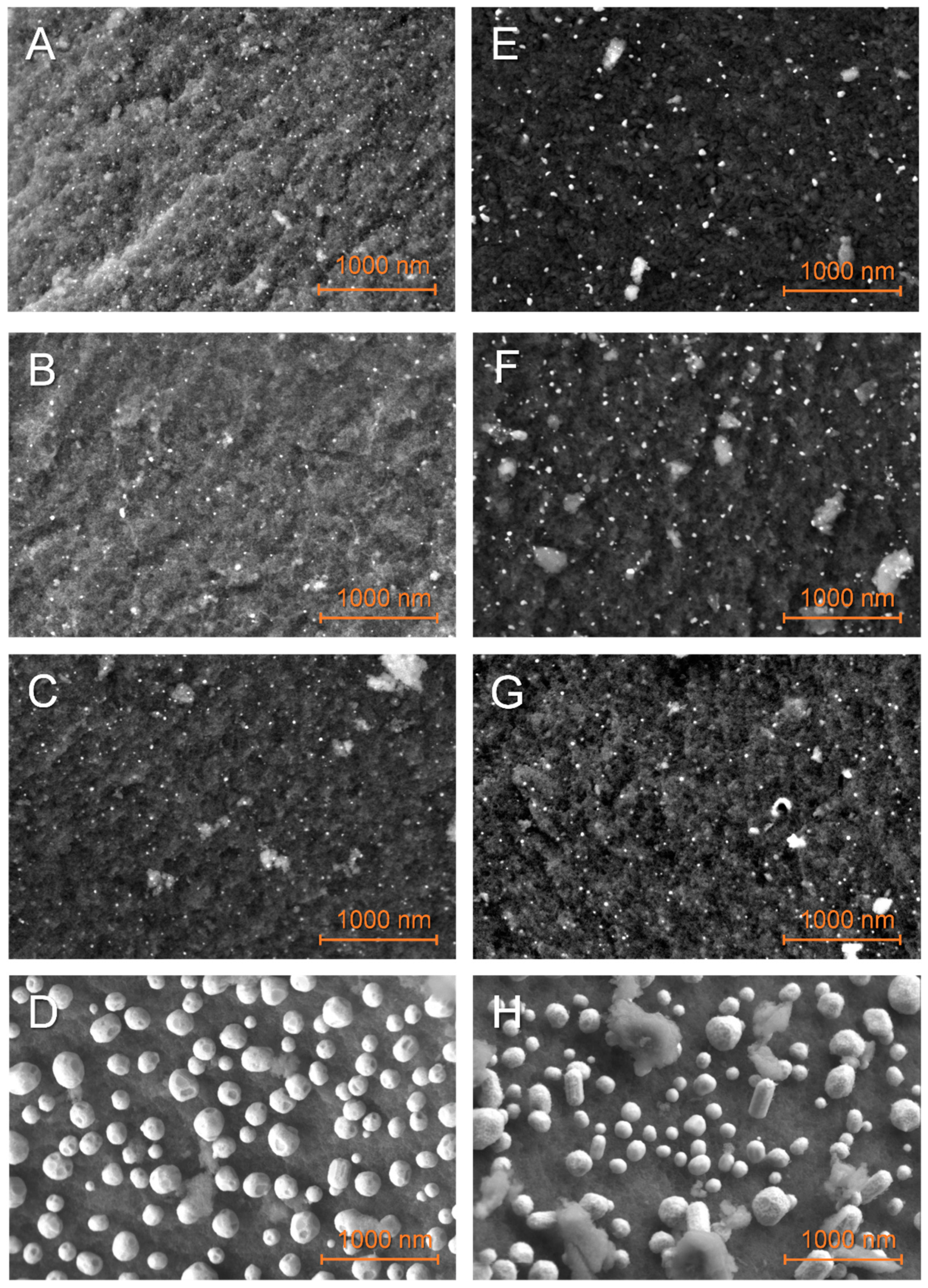 Molecules 27 02921 g002 Molecules 27 02921 g002