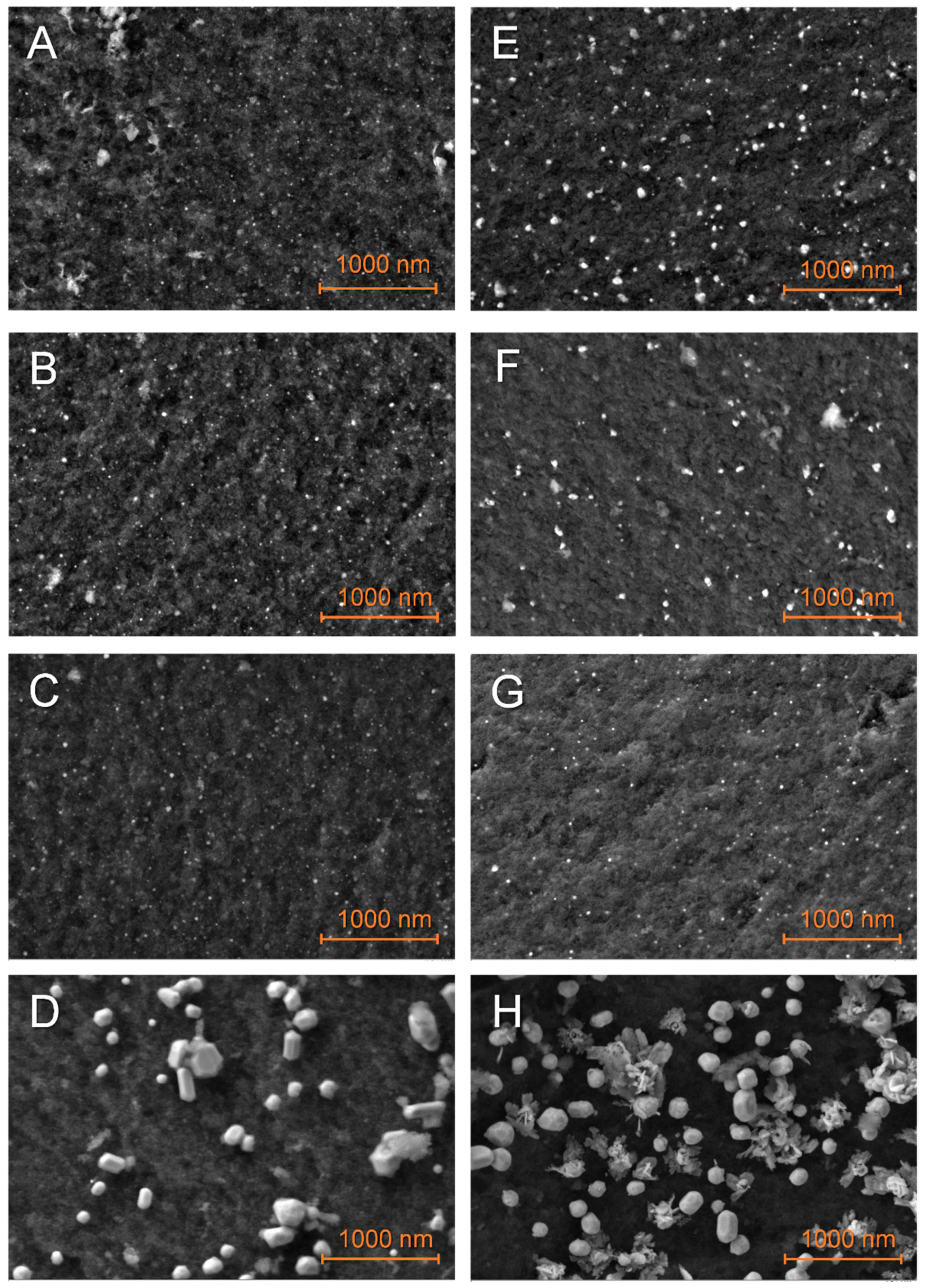 Molecules 27 02921 g004 Molecules 27 02921 g004