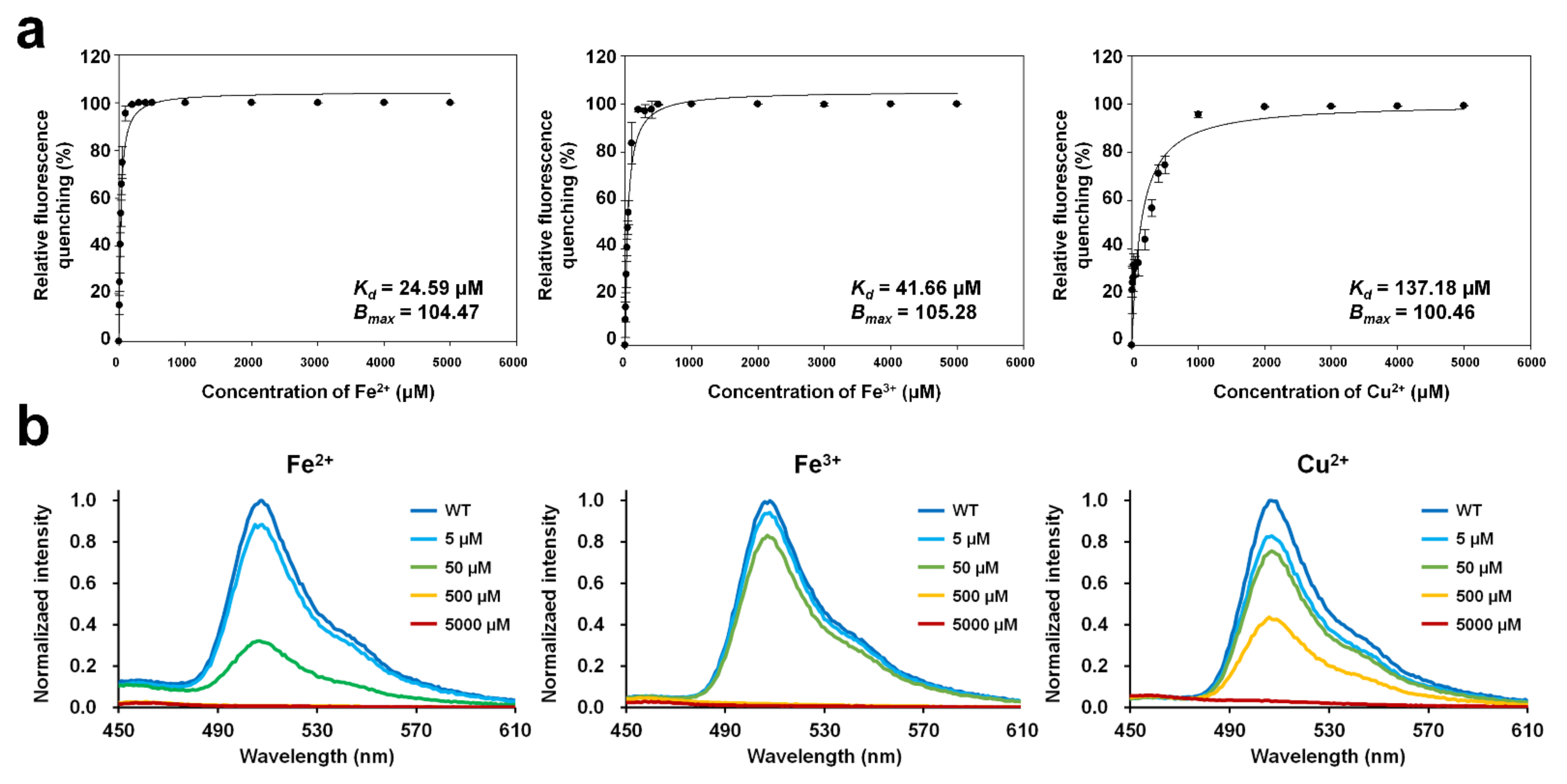 Molecules 27 02922 g003