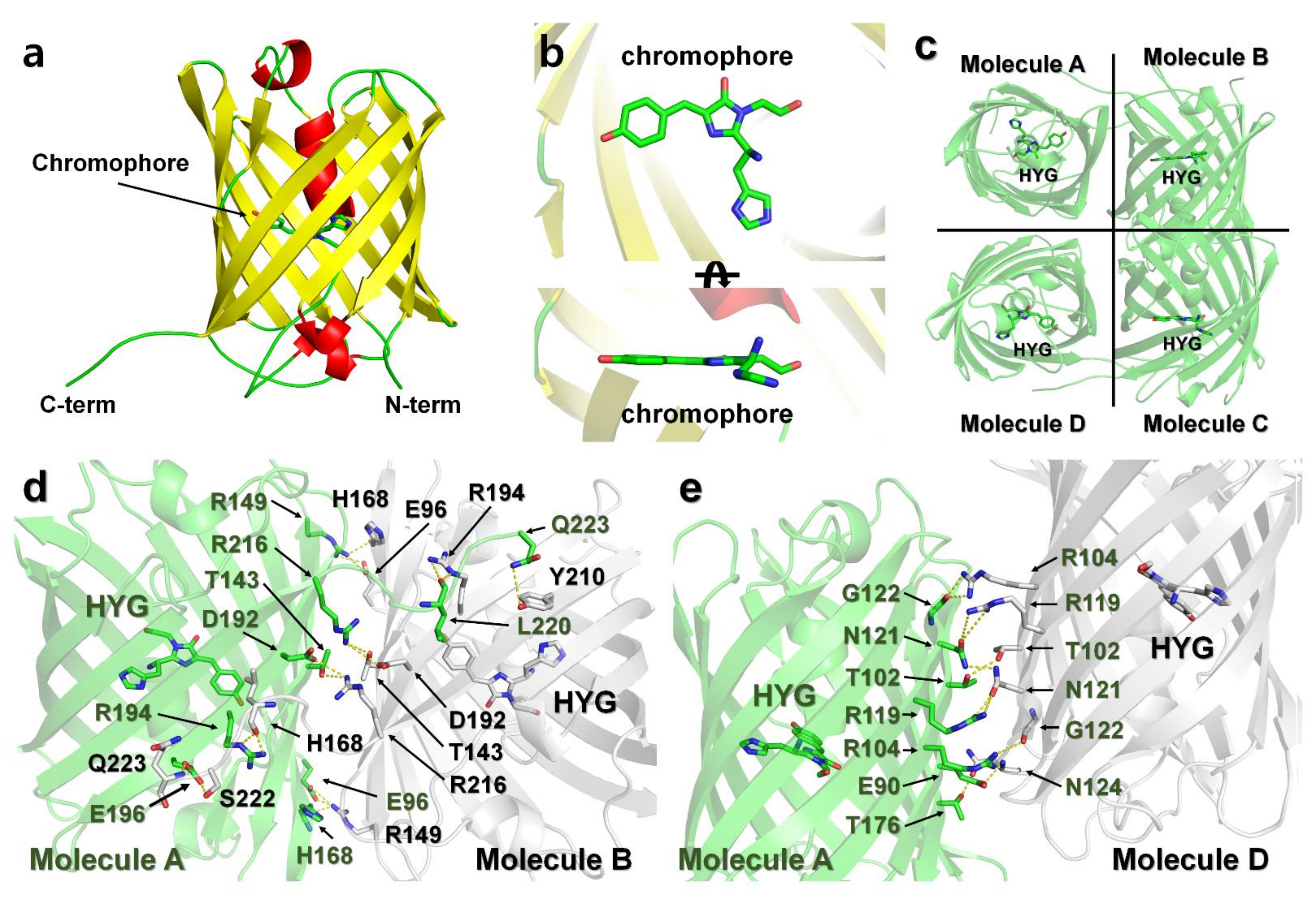 Molecules 27 02922 g007