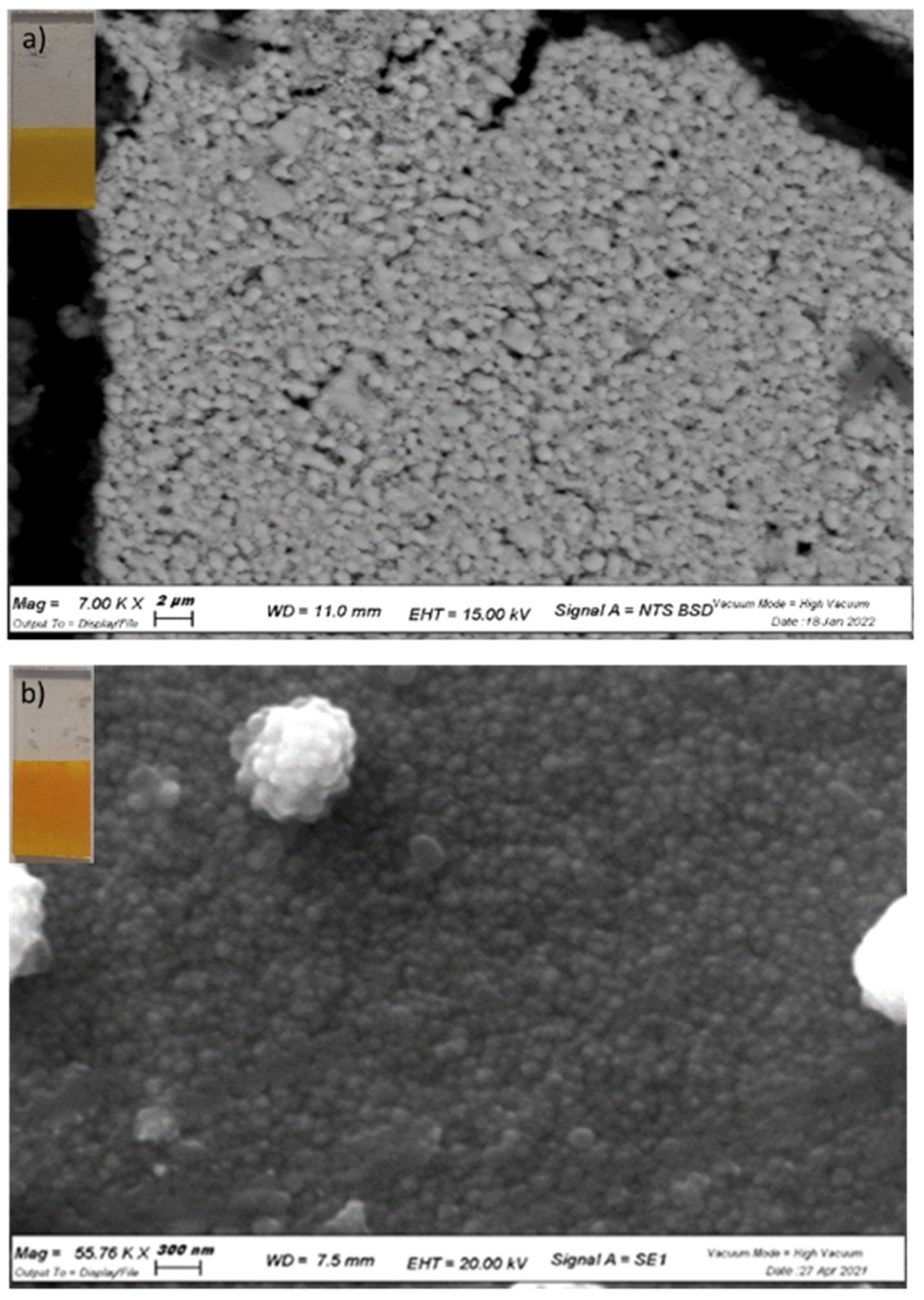 Molecules 27 02924 g001 550
