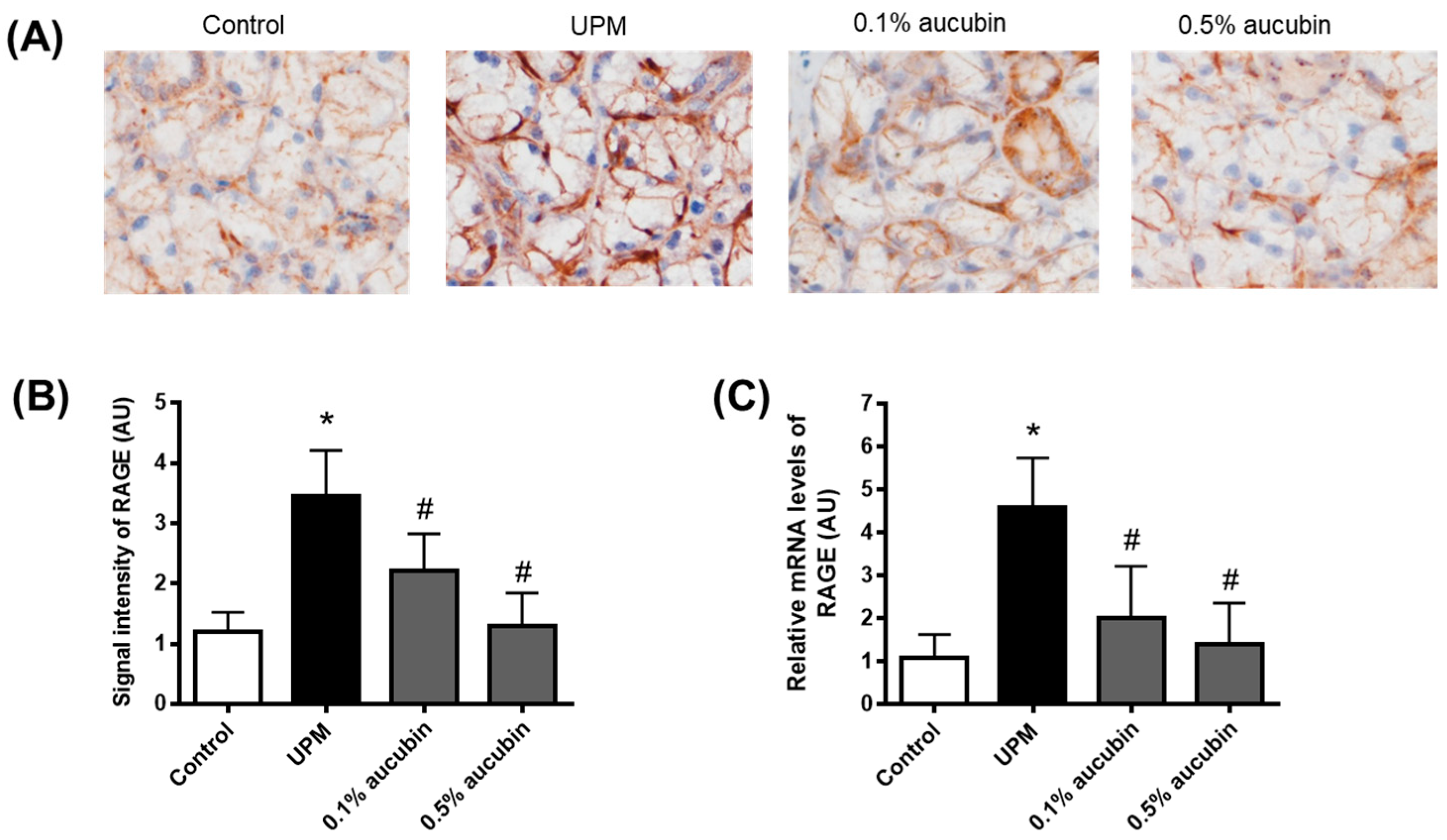 Molecules 27 02926 g005 550