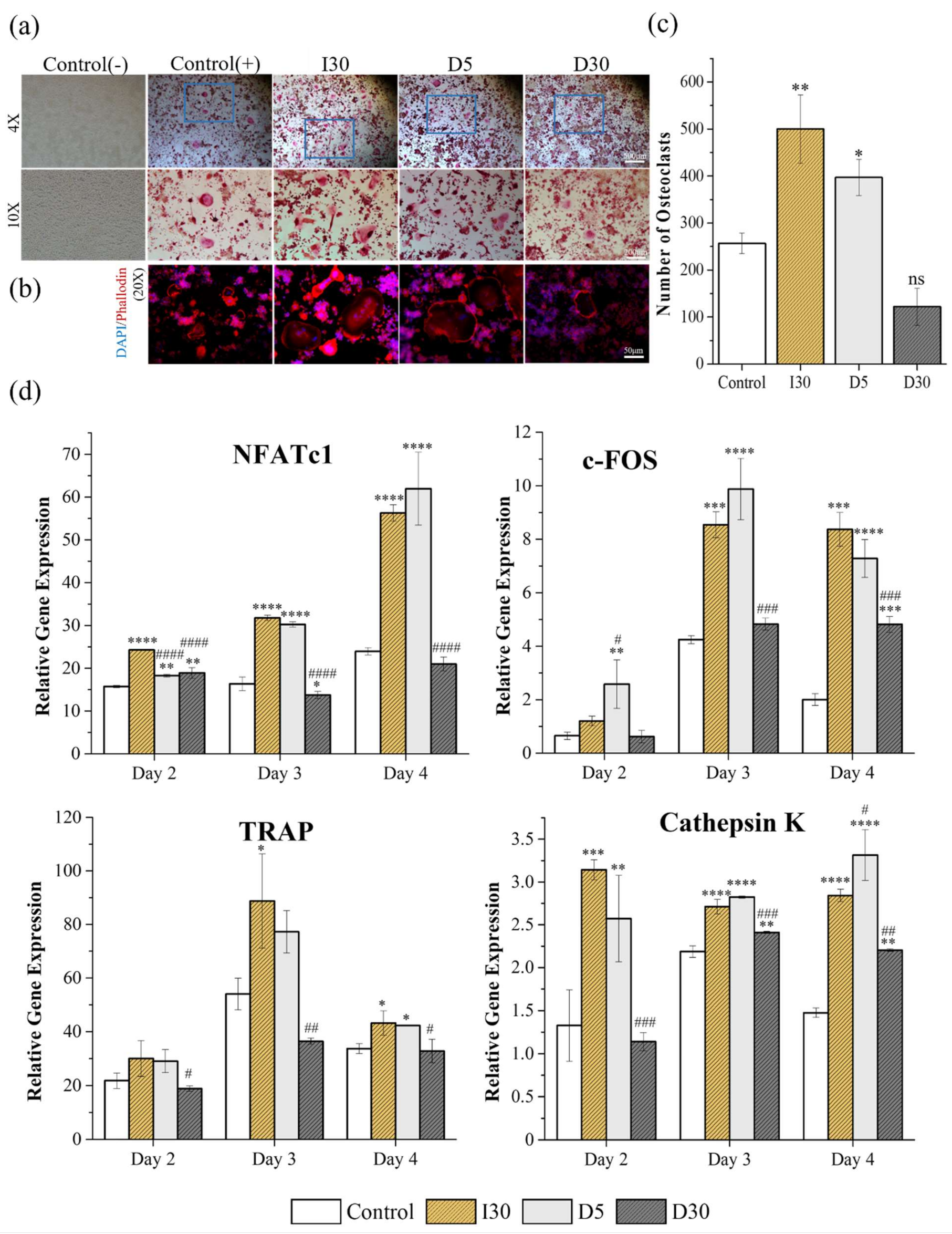 Molecules 27 02927 g004