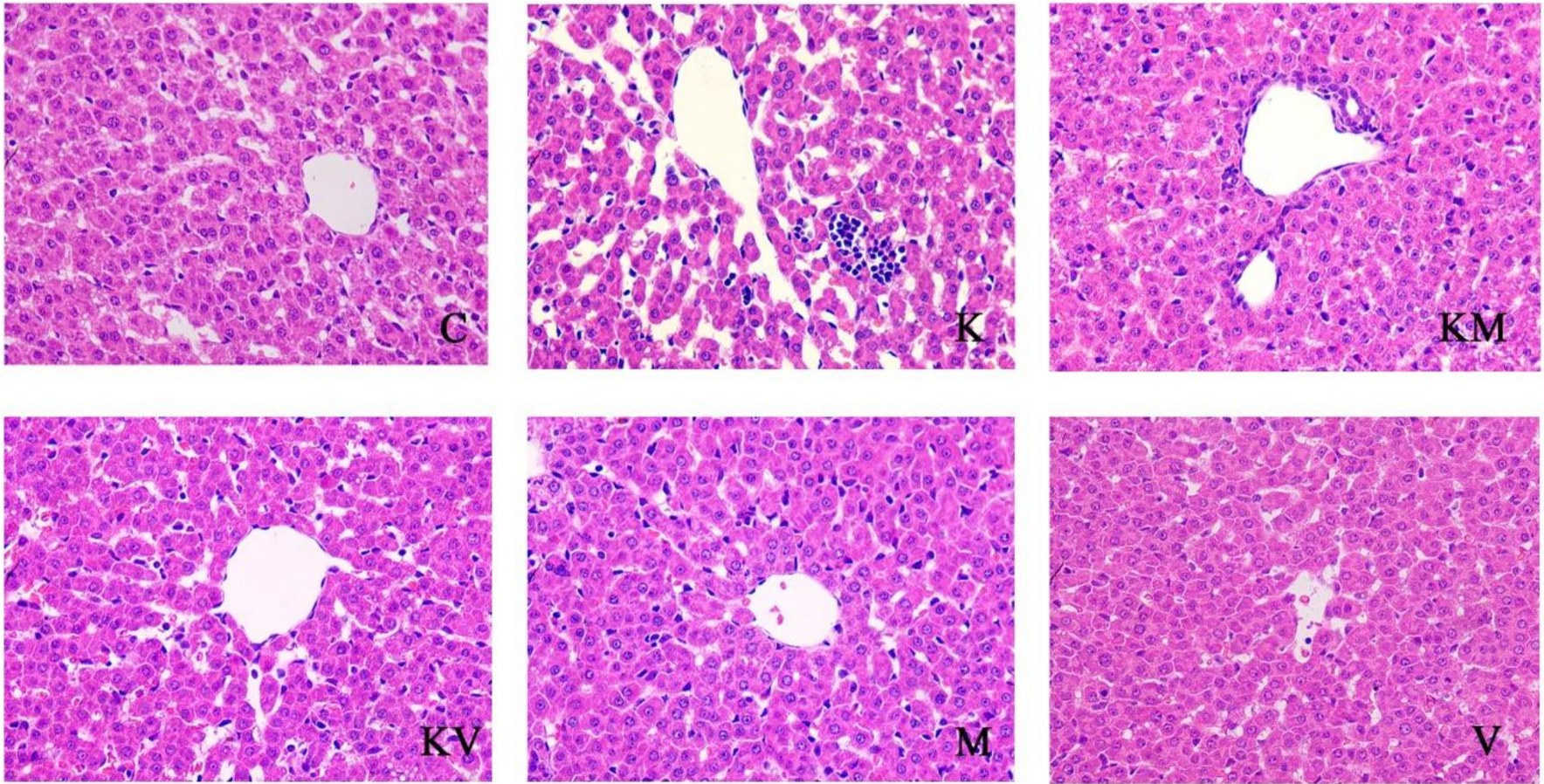 Molecules 27 02931 g002 Molecules 27 02931 g002