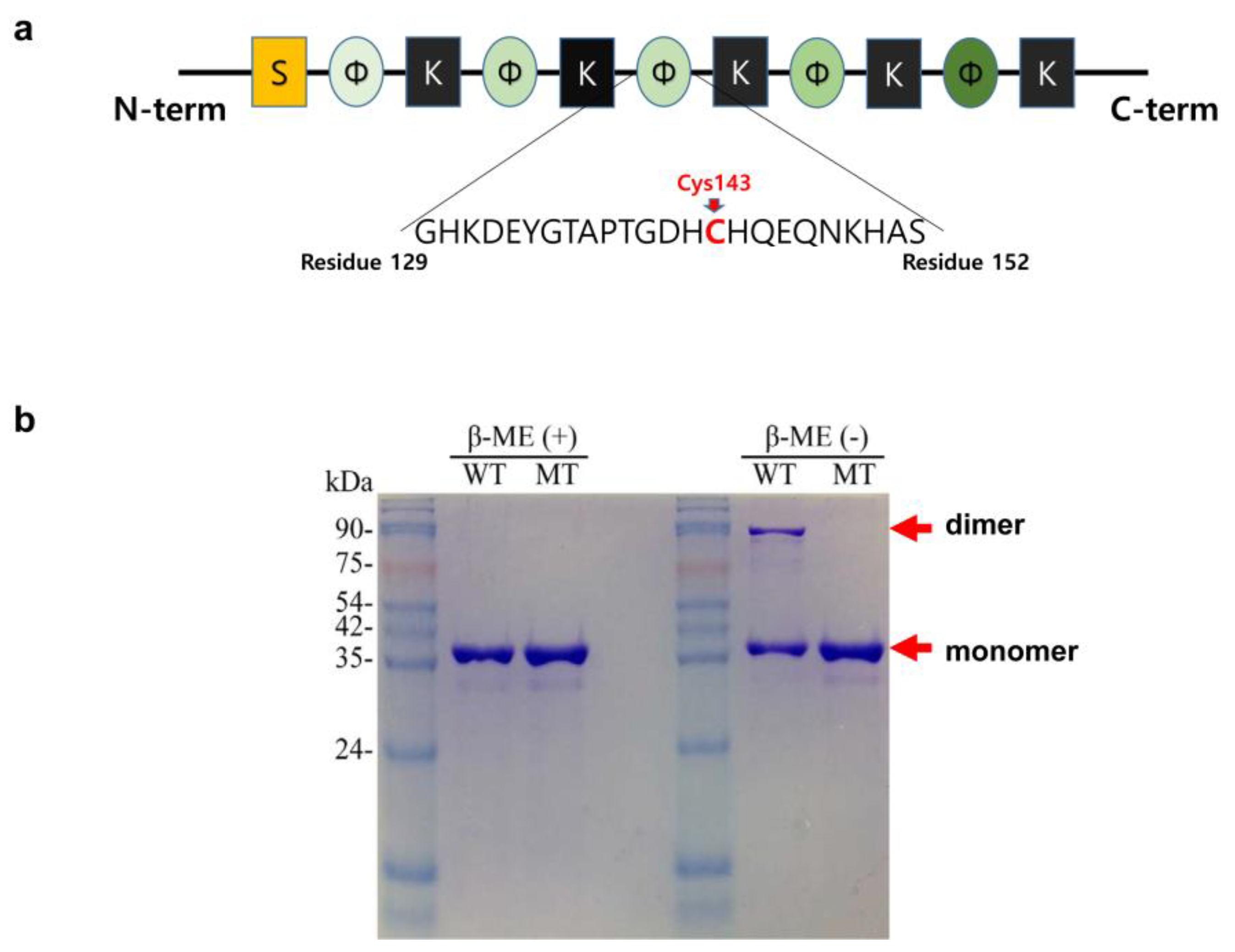 Molecules 27 02934 g001 550