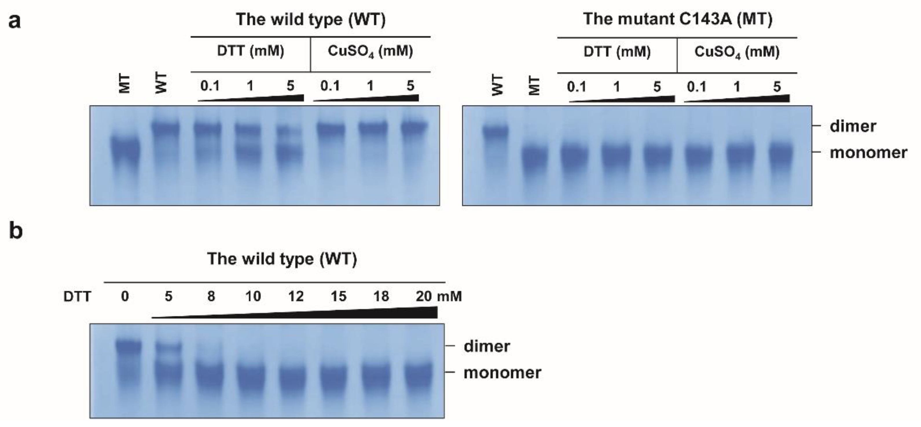 Molecules 27 02934 g002 550