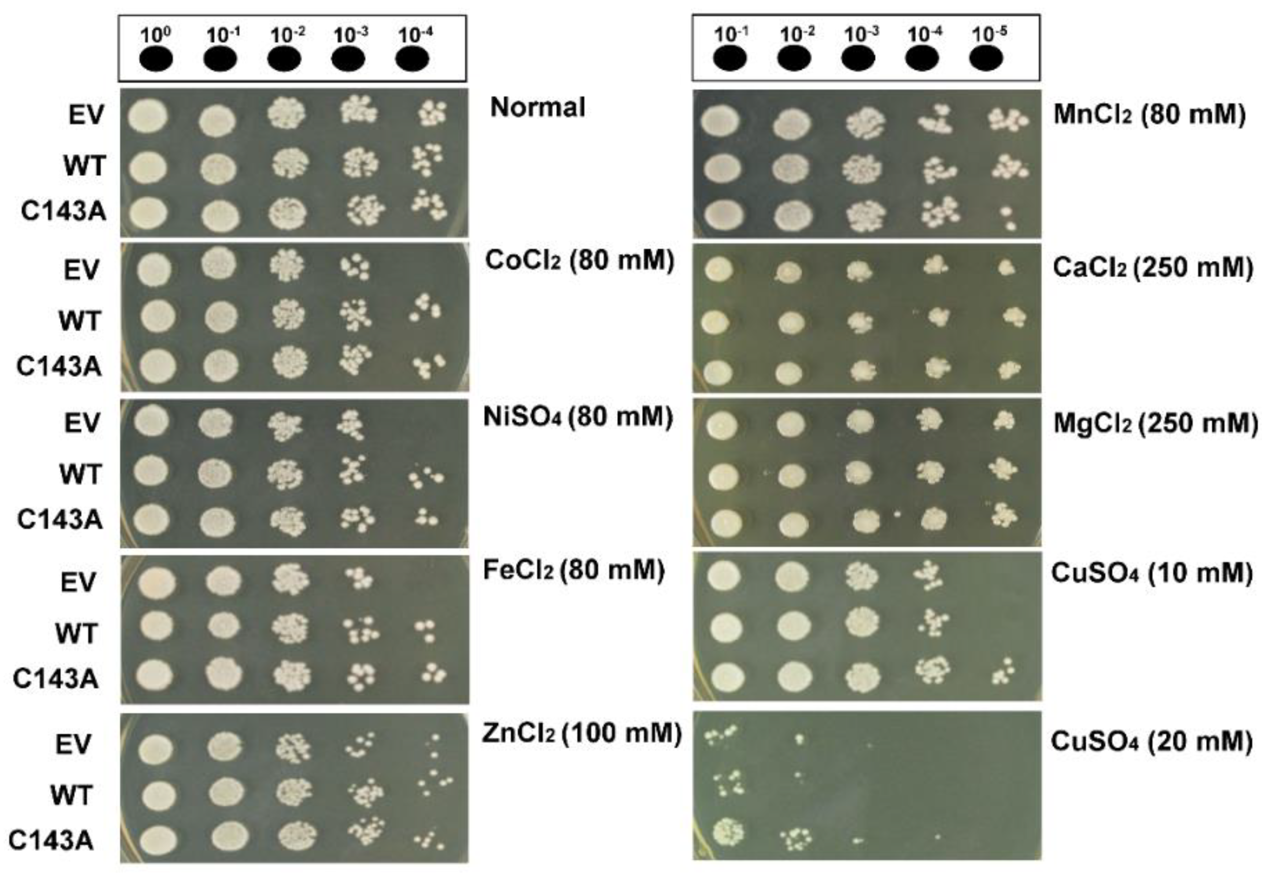 Molecules 27 02934 g003 550