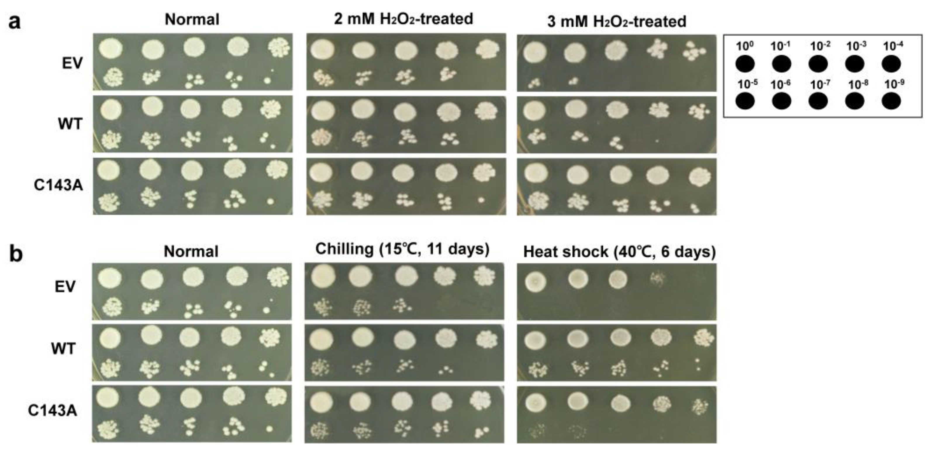Molecules 27 02934 g004 550