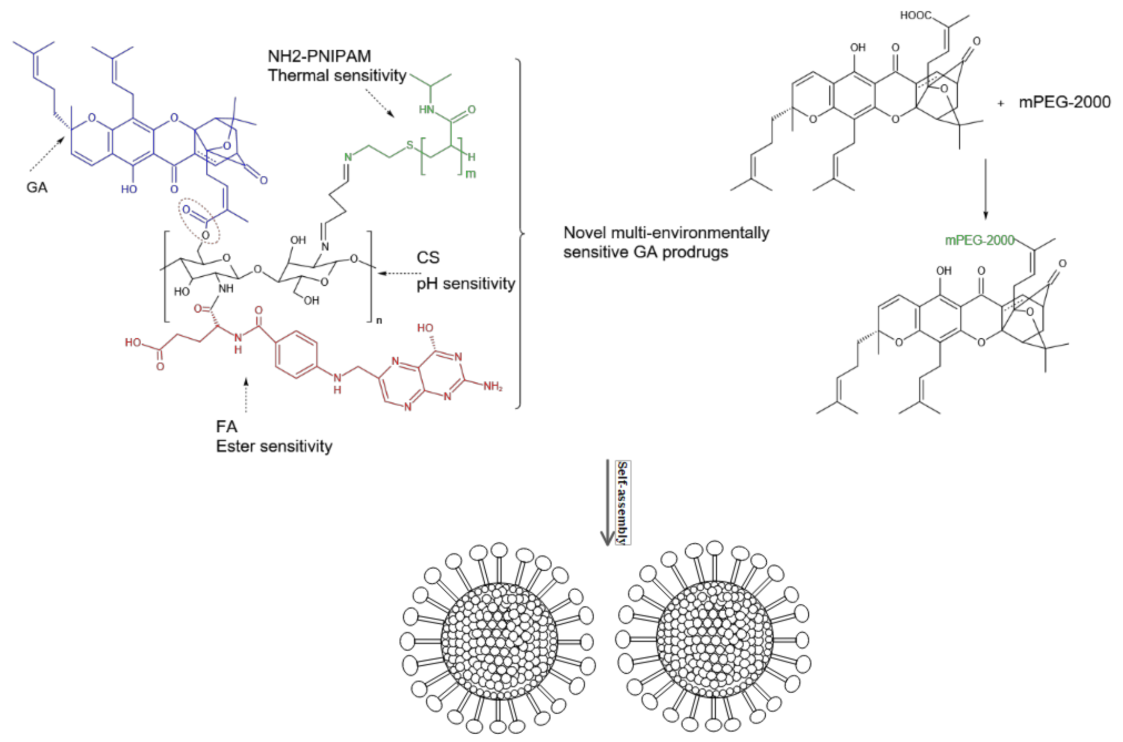 Molecules 27 02937 g010 Molecules 27 02937 g010