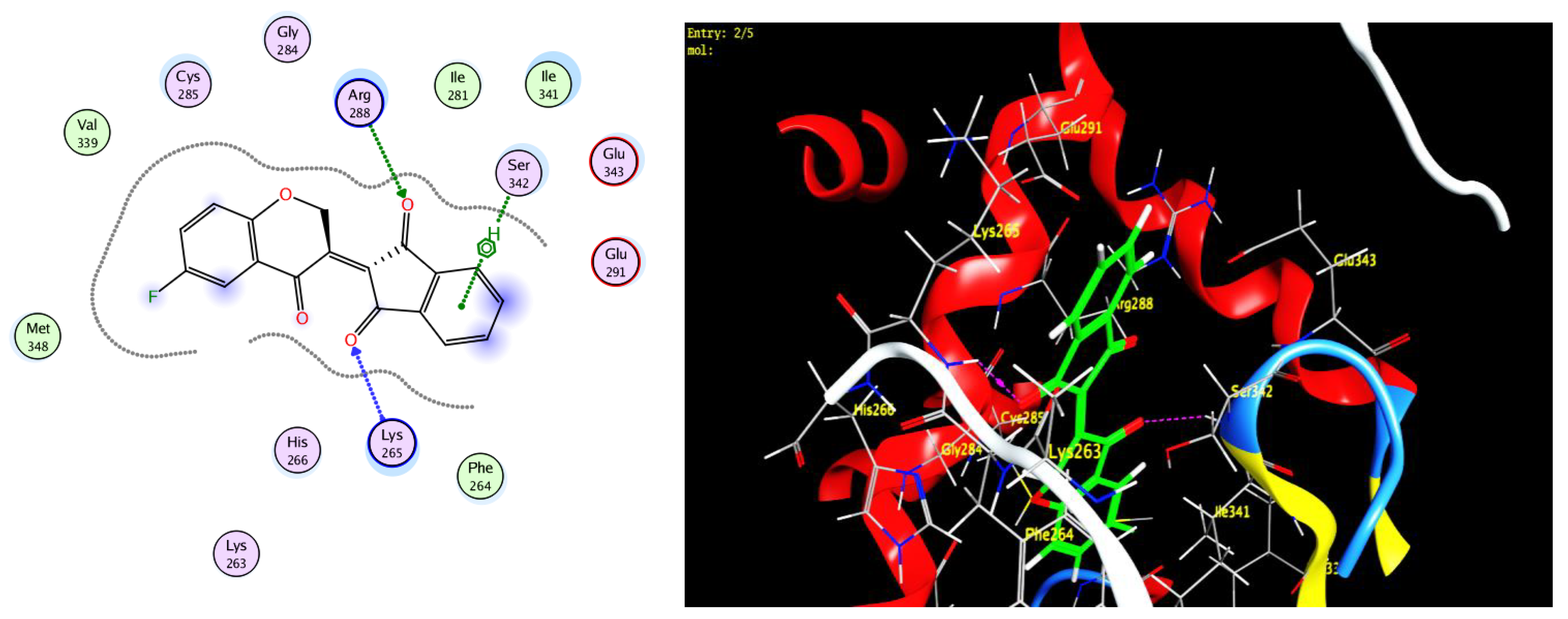 Molecules 27 02940 g009 550