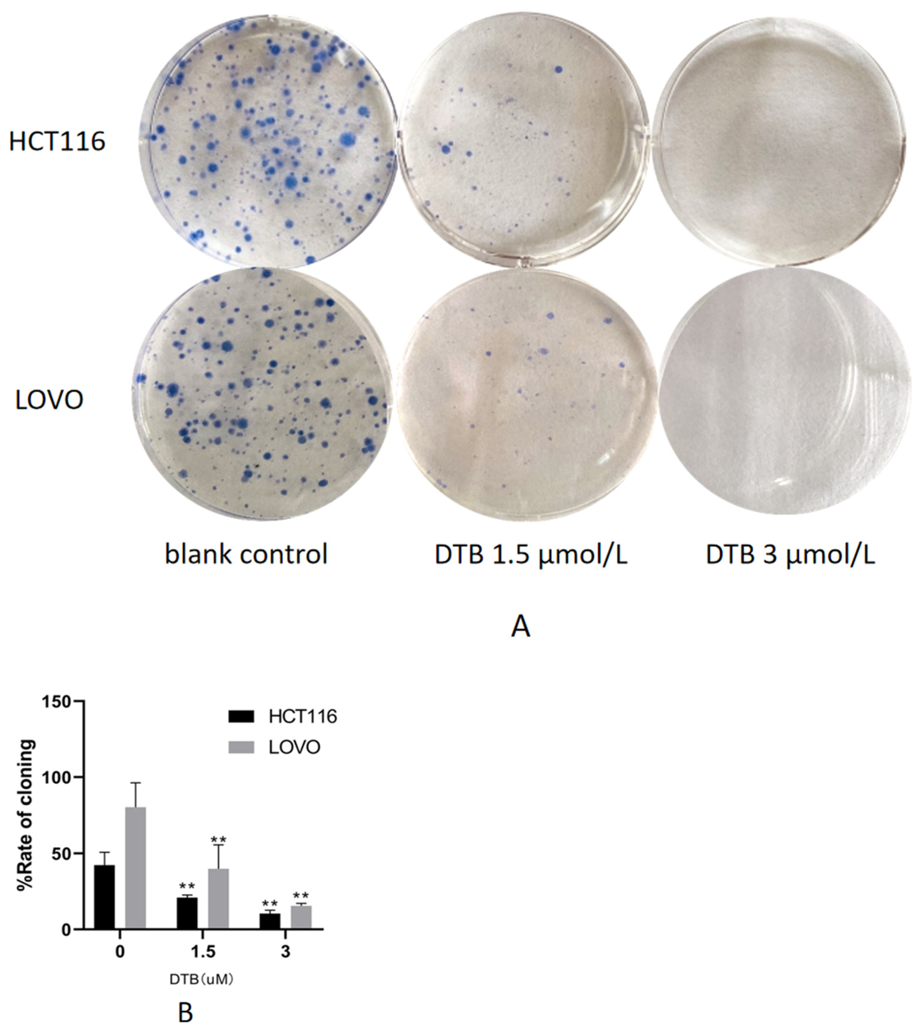 Molecules 27 02944 g003