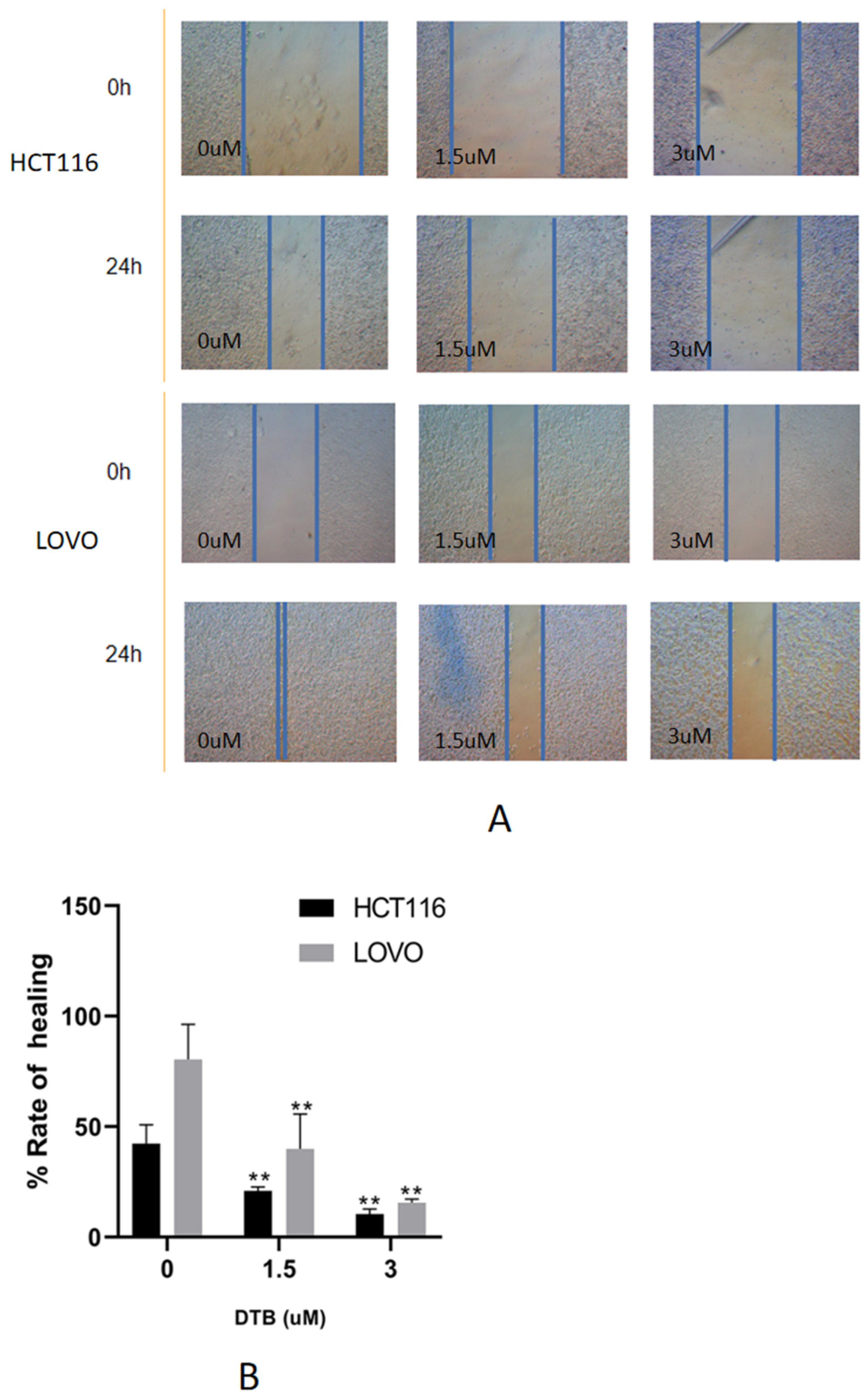 Molecules 27 02944 g004