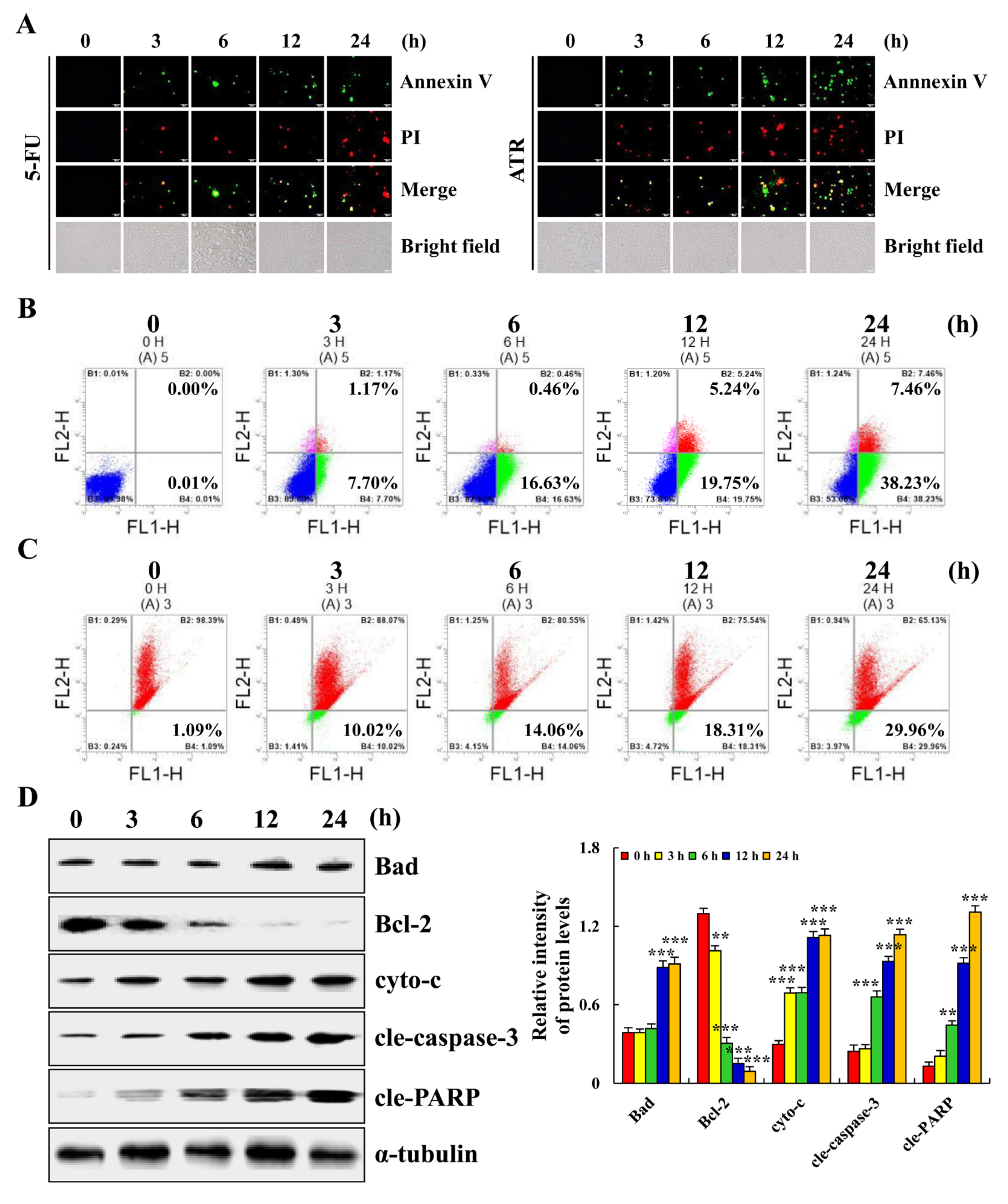 Molecules 27 02946 g002