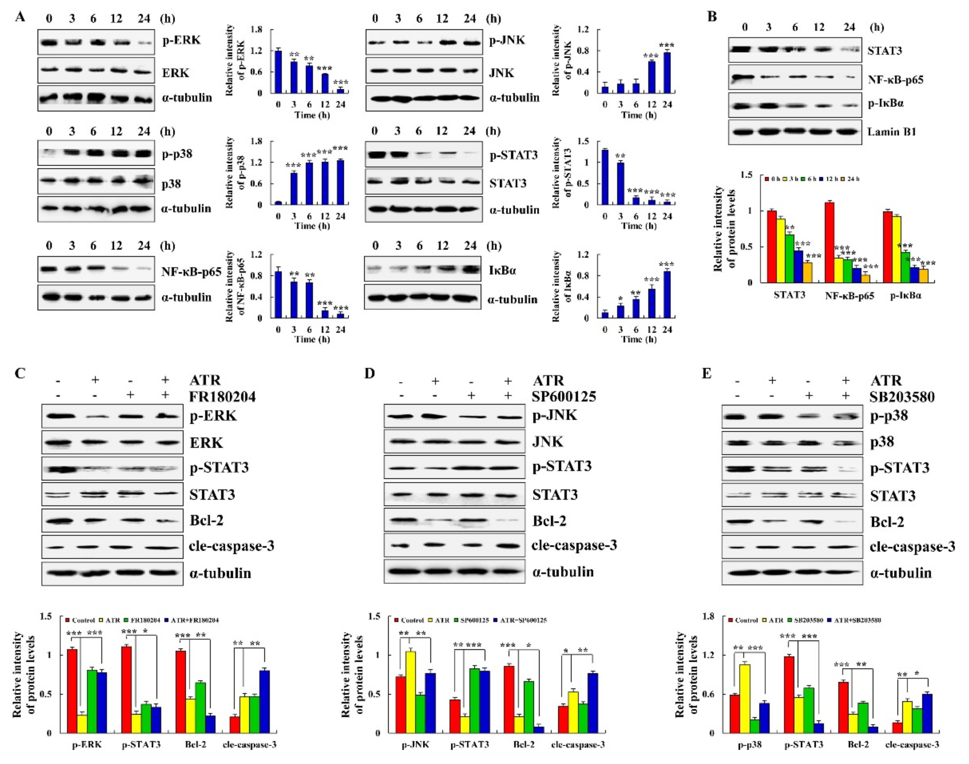 Molecules 27 02946 g003