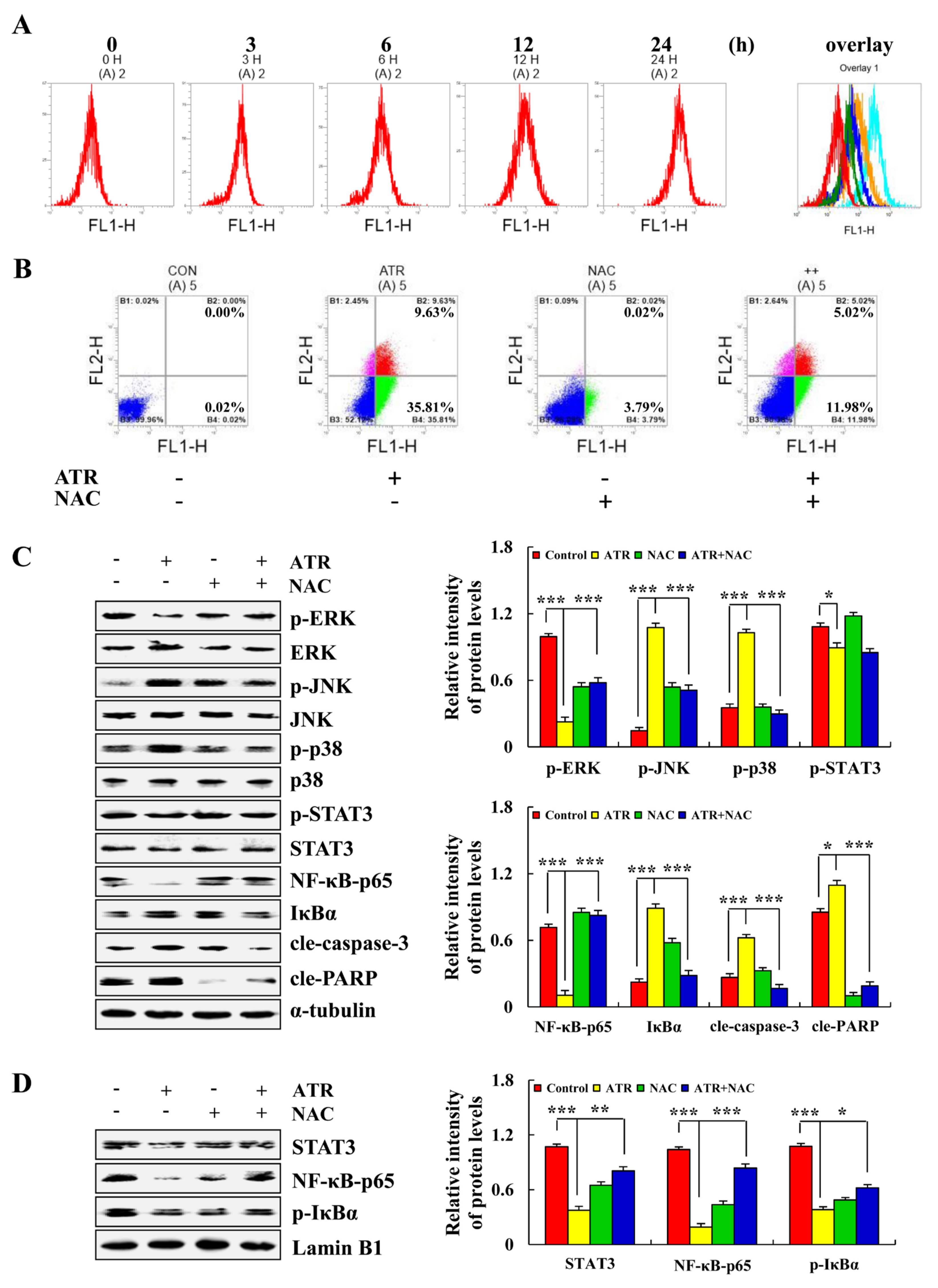 Molecules 27 02946 g004