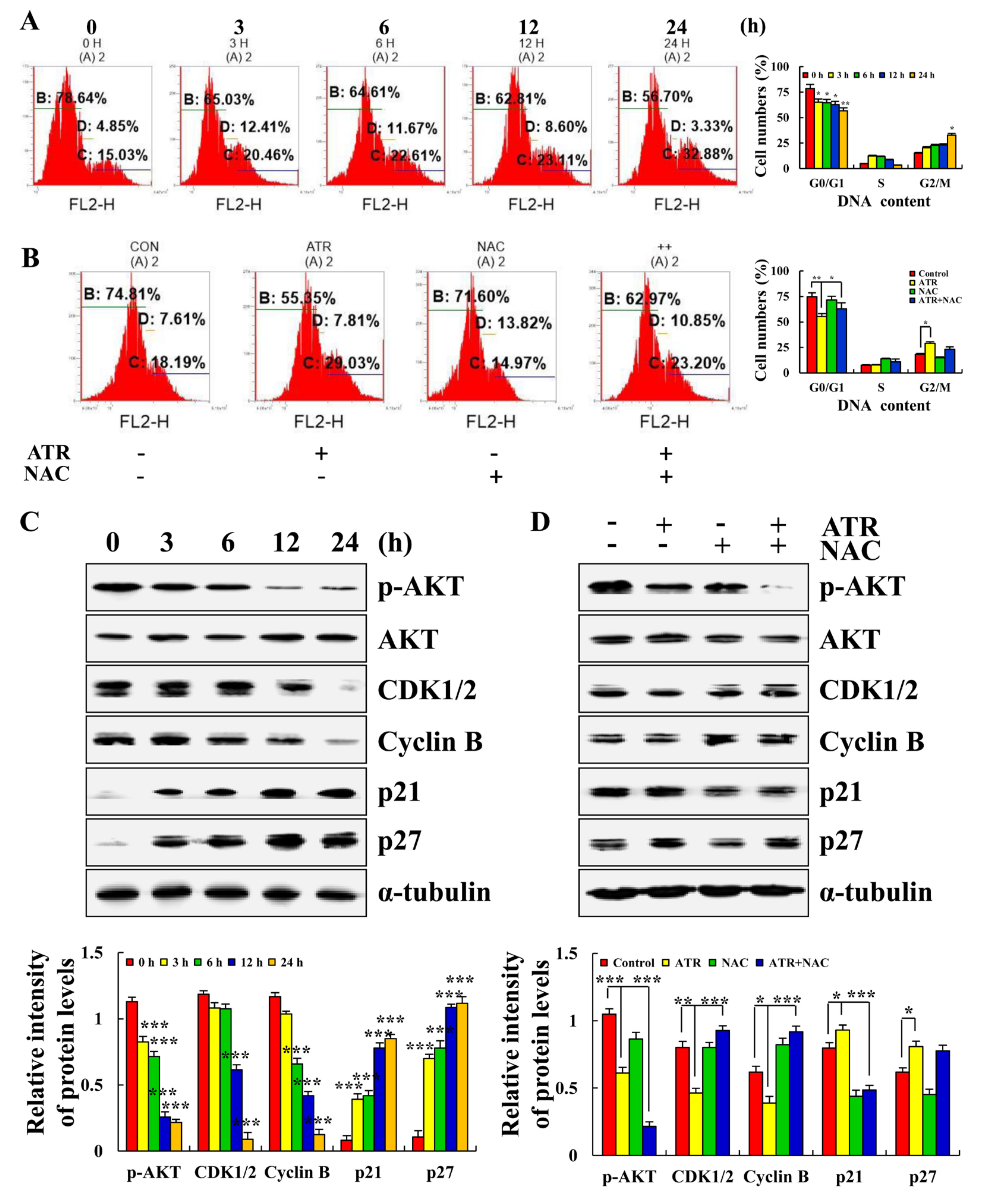 Molecules 27 02946 g005