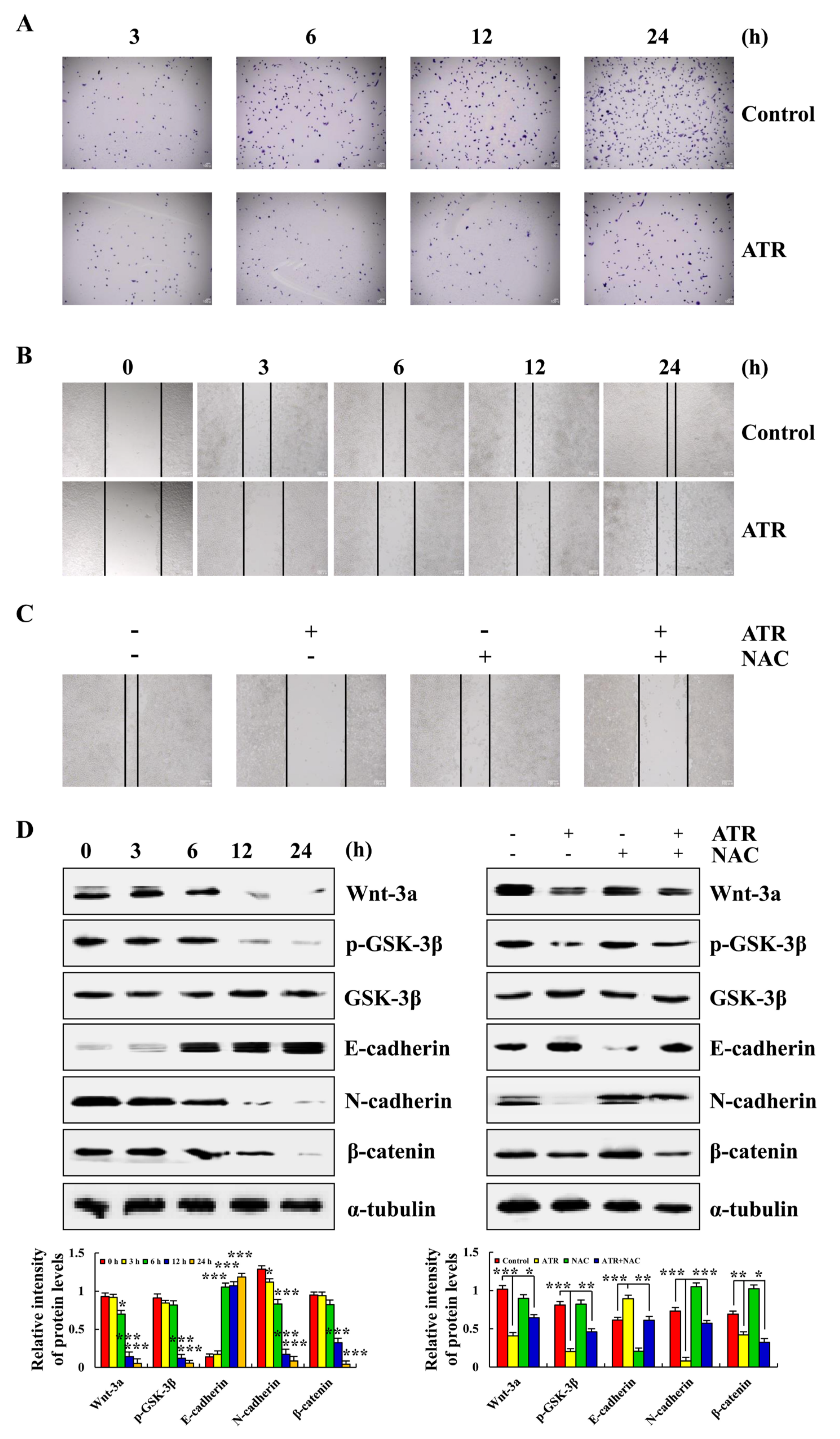 Molecules 27 02946 g006