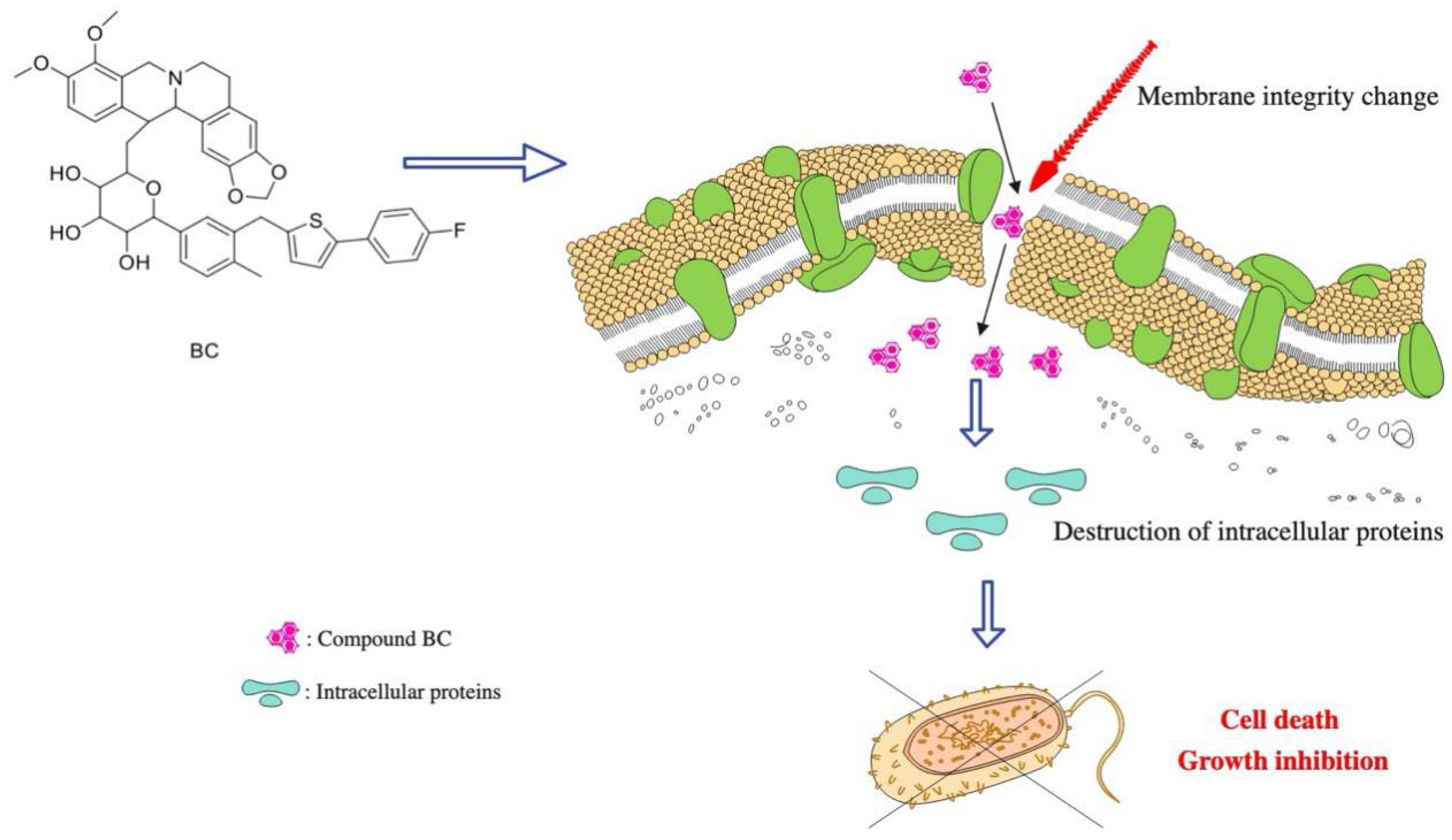 Molecules 27 02948 g009 550