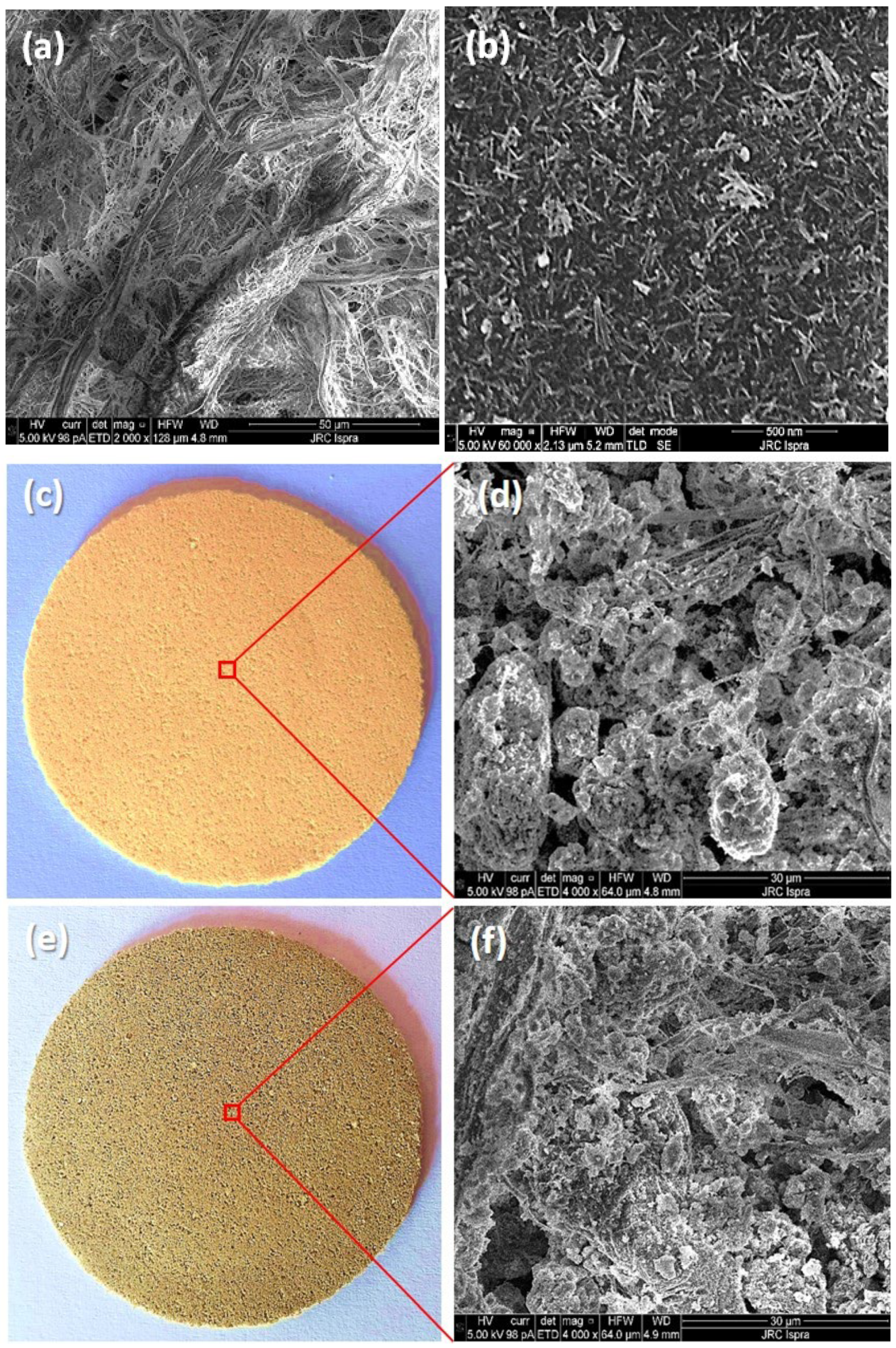 Molecules 27 02951 g003 550