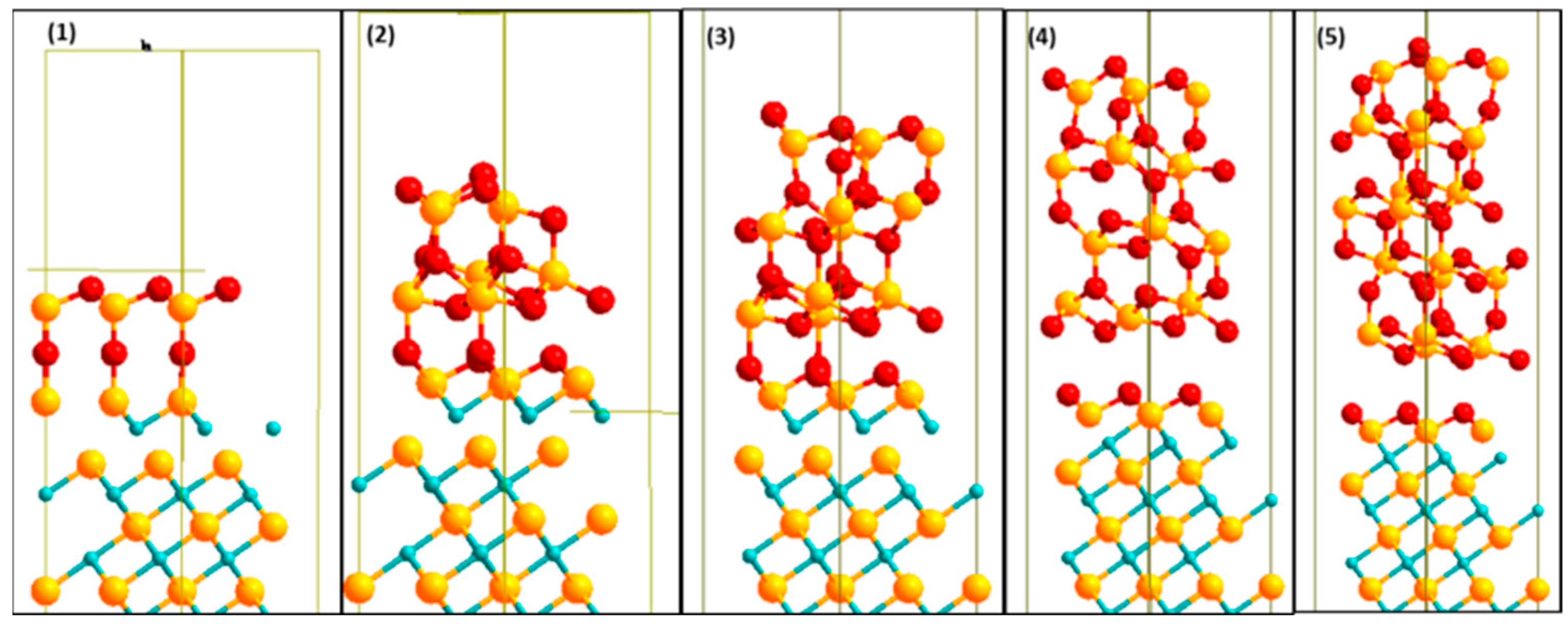 Molecules 27 02954 g007