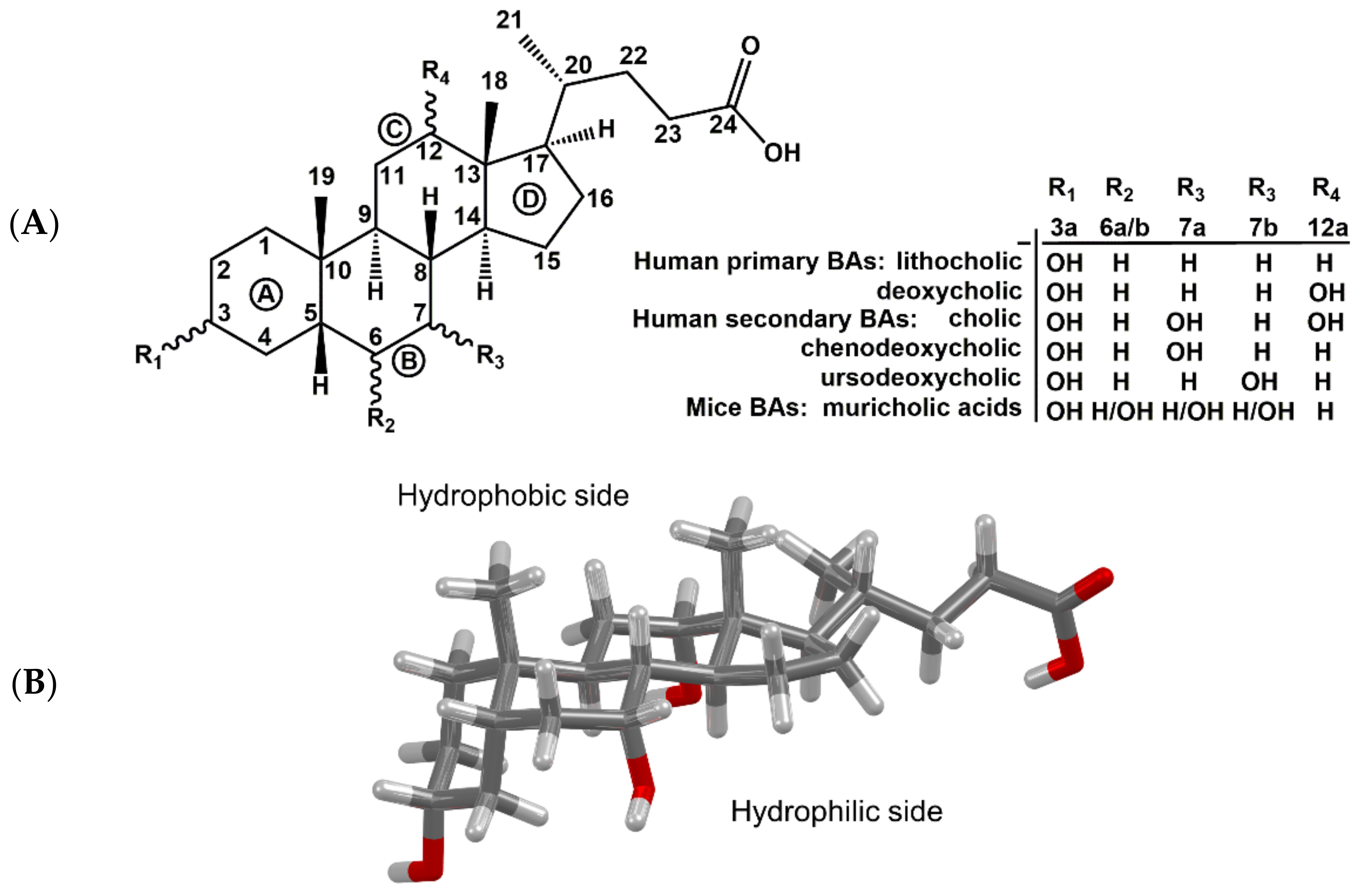 Molecules 27 02961 g001