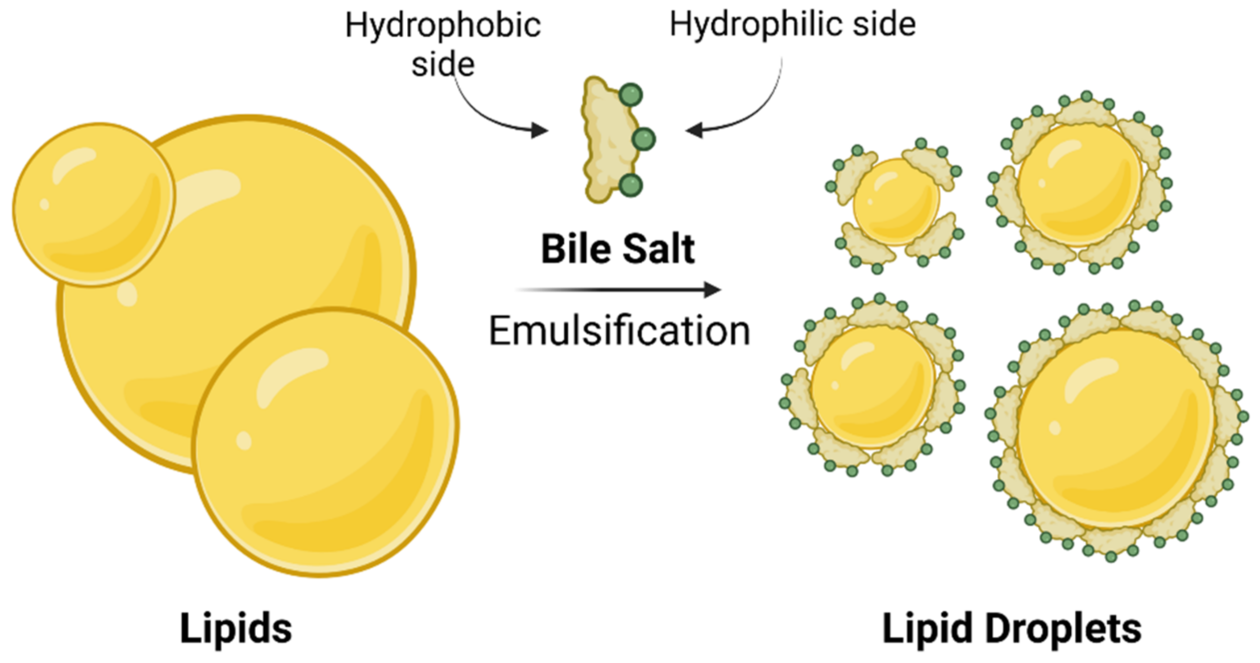 Molecules 27 02961 g002