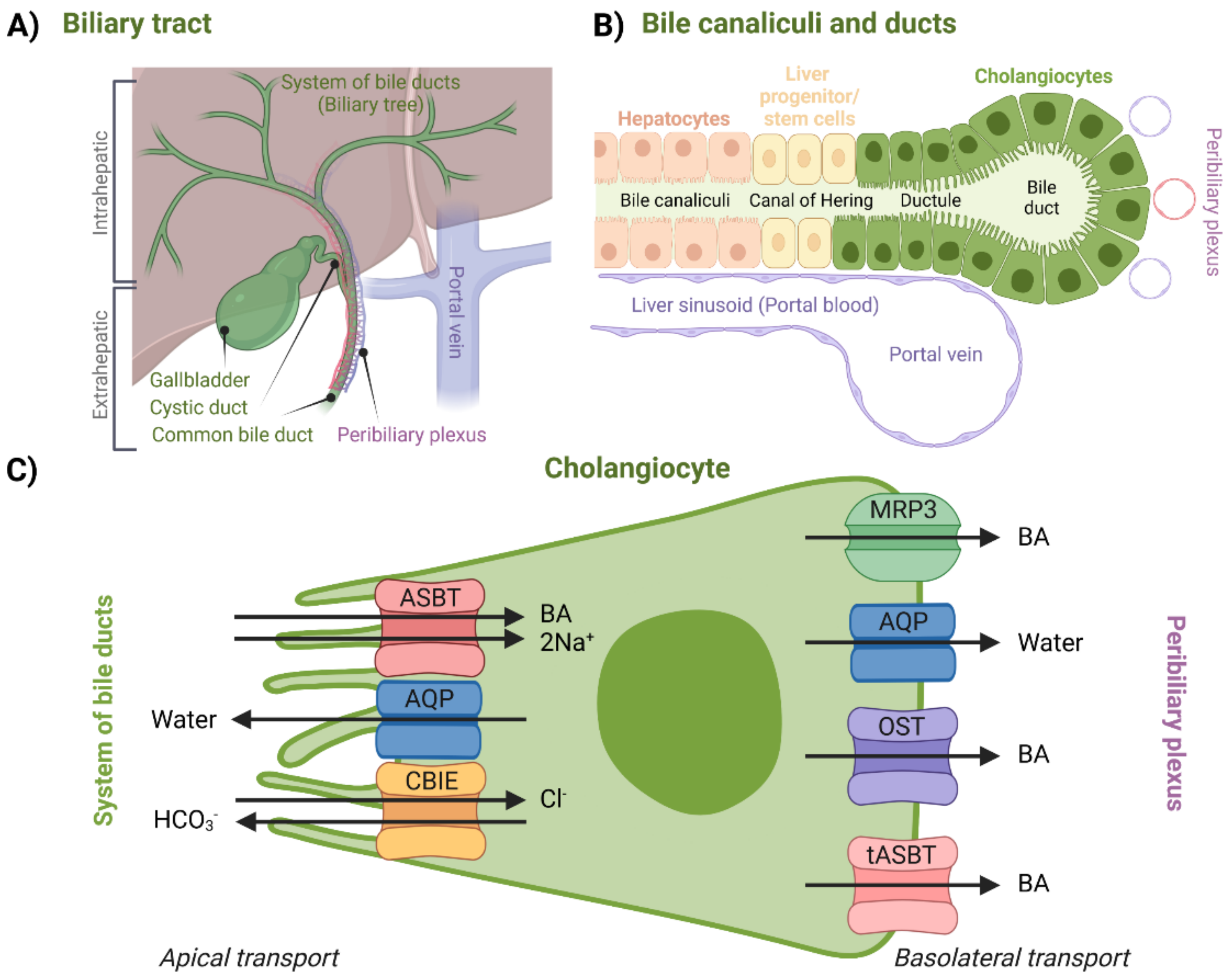 Molecules 27 02961 g005