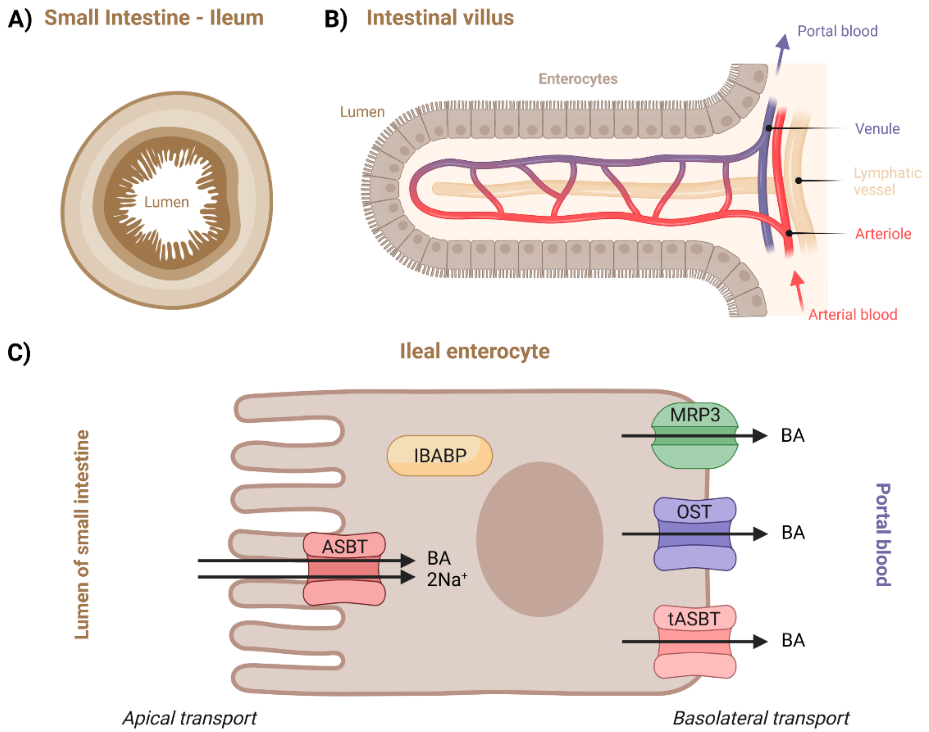 Molecules 27 02961 g006