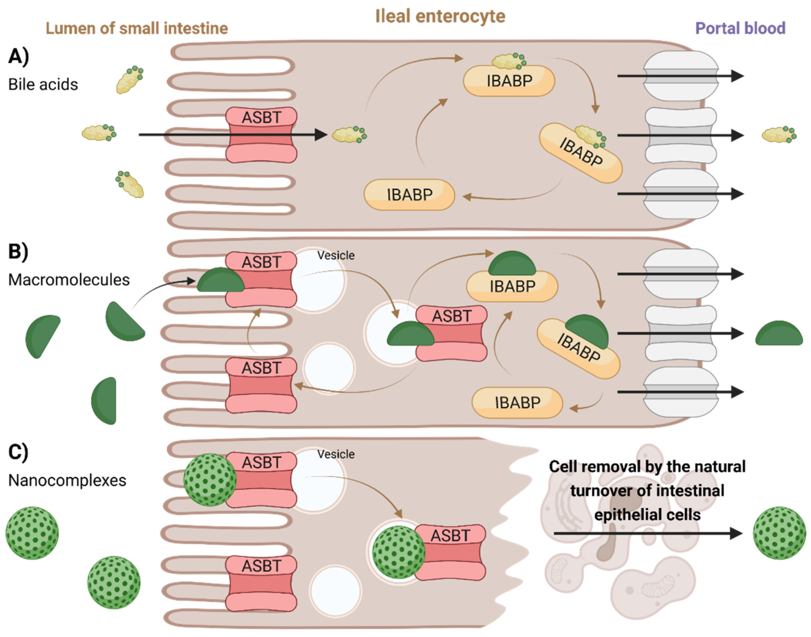 Molecules 27 02961 g007