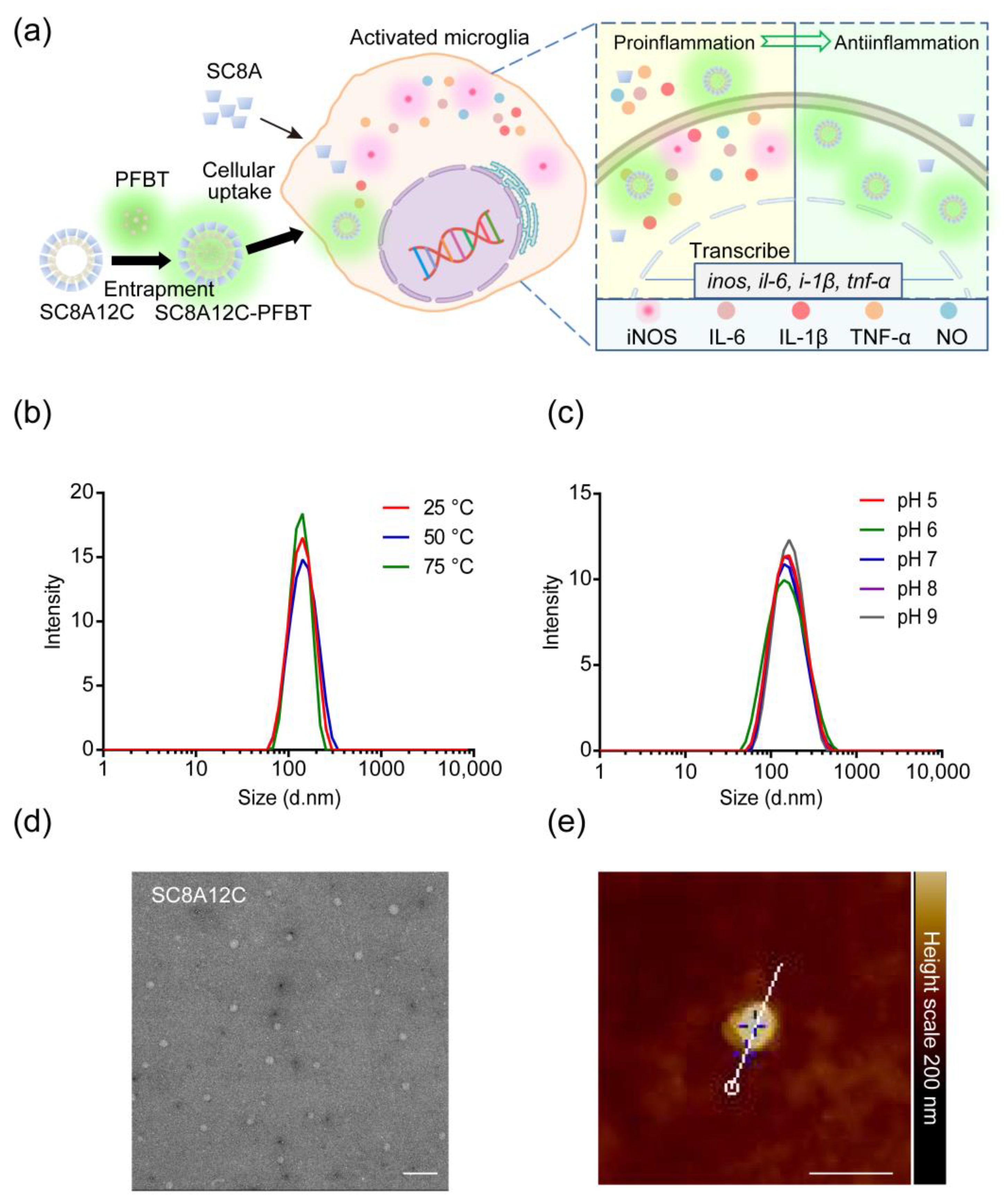 Molecules 27 02967 g002 550