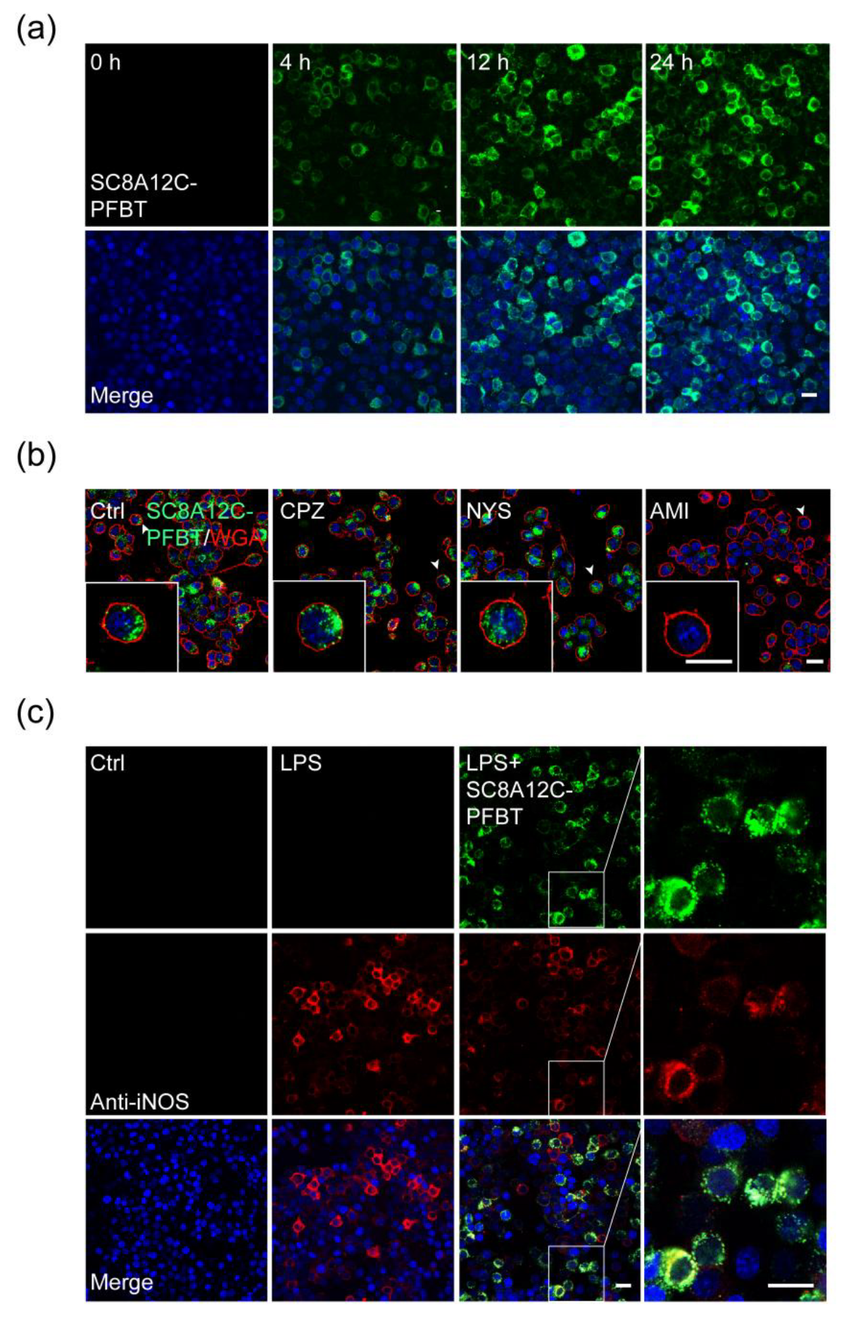 Molecules 27 02967 g004 550