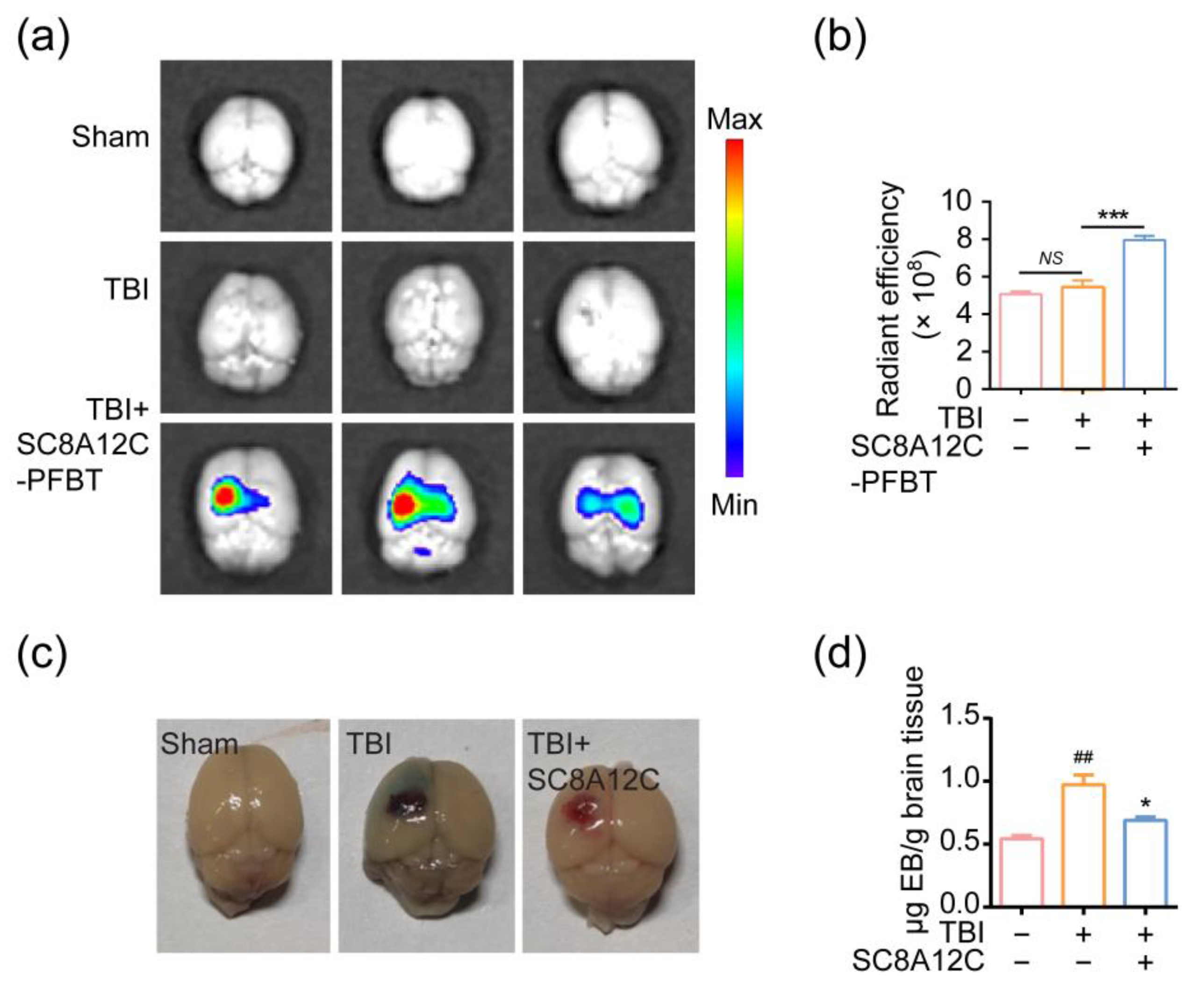 Molecules 27 02967 g005 550