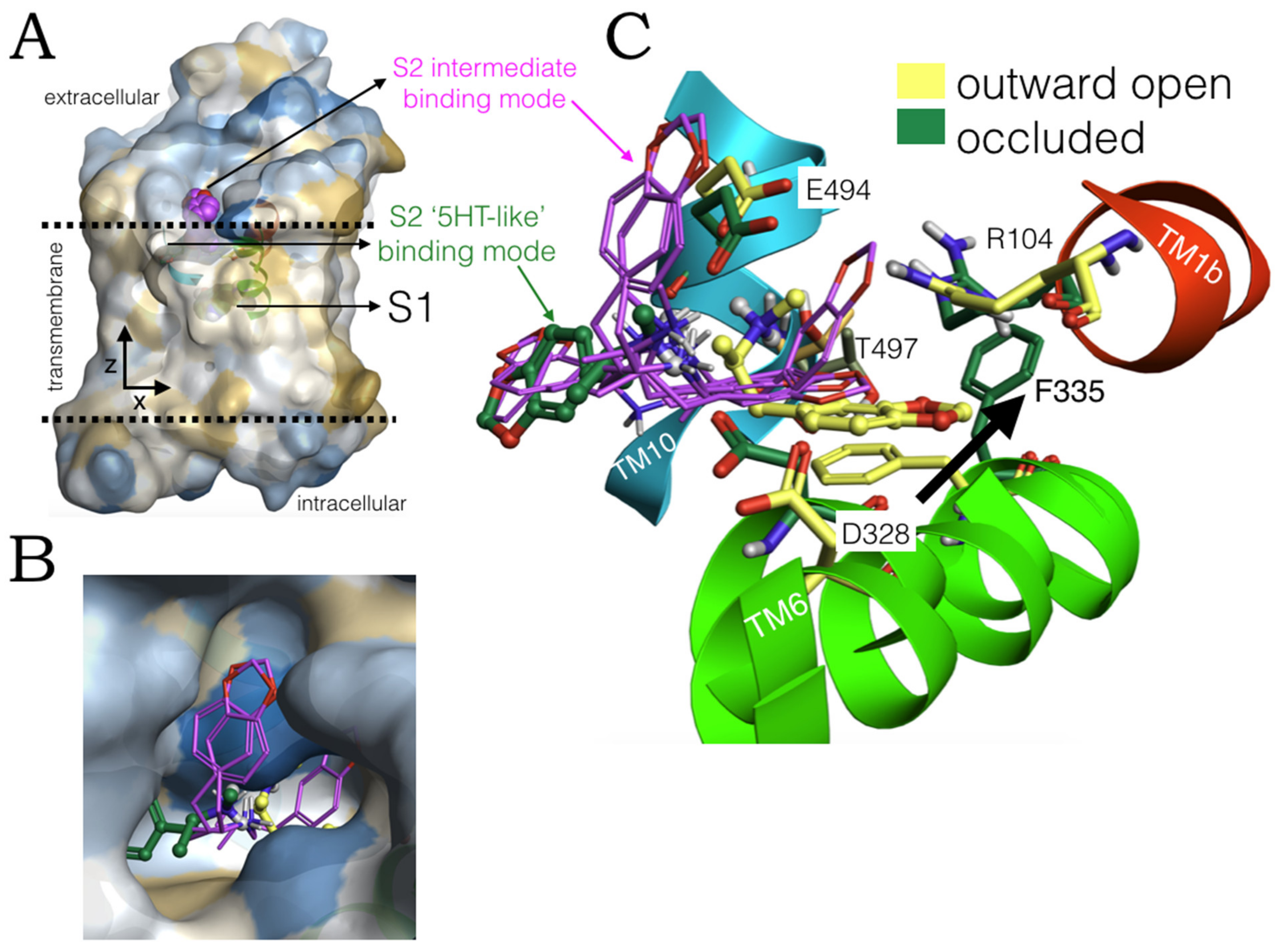 Molecules 27 02977 g005 550